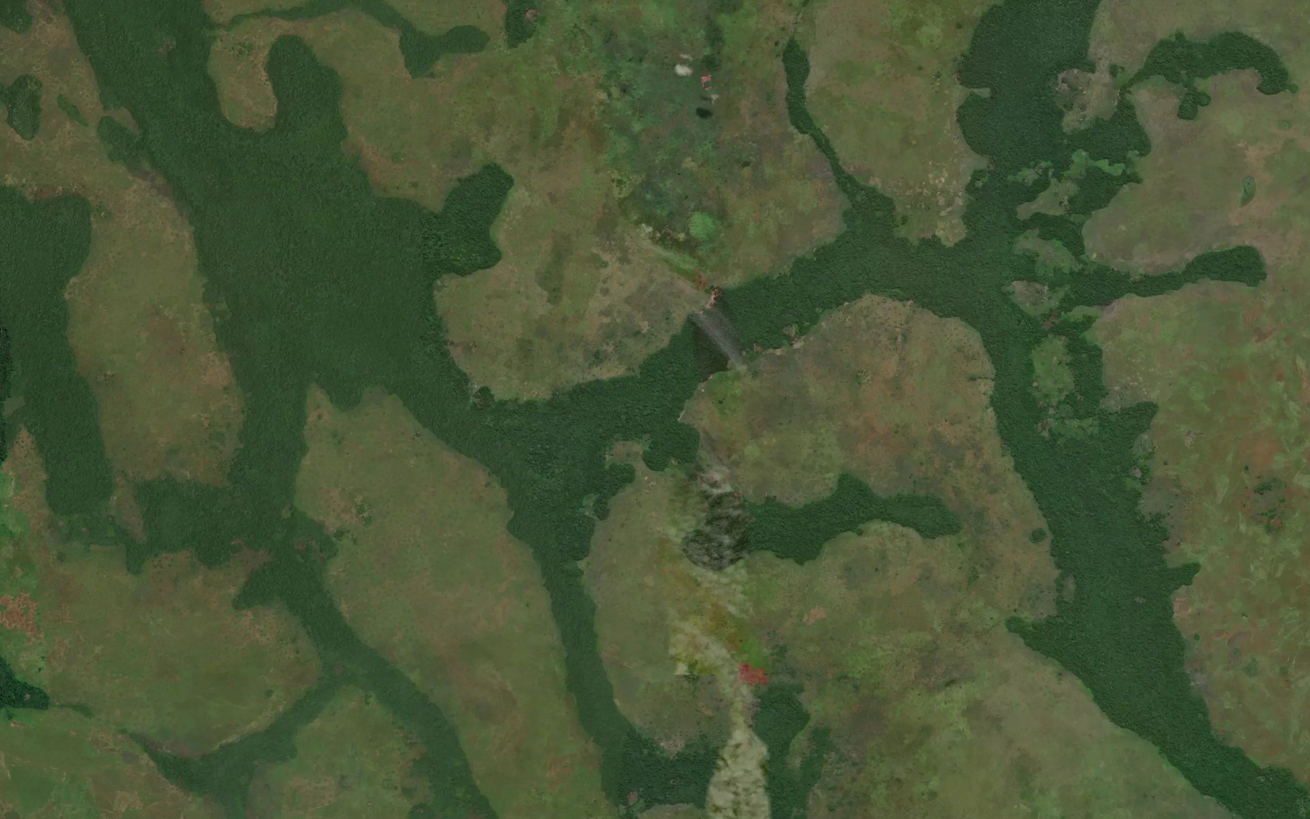 Ziwali