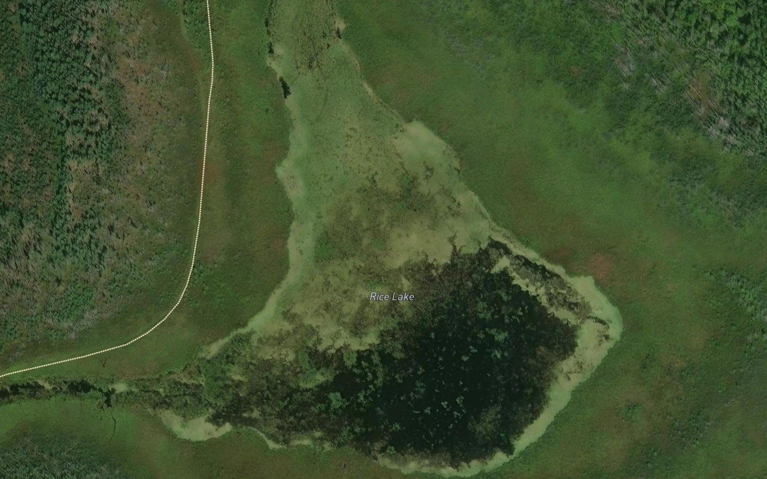 Rice Lake