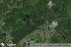 Embranchement Fortin-Paradis