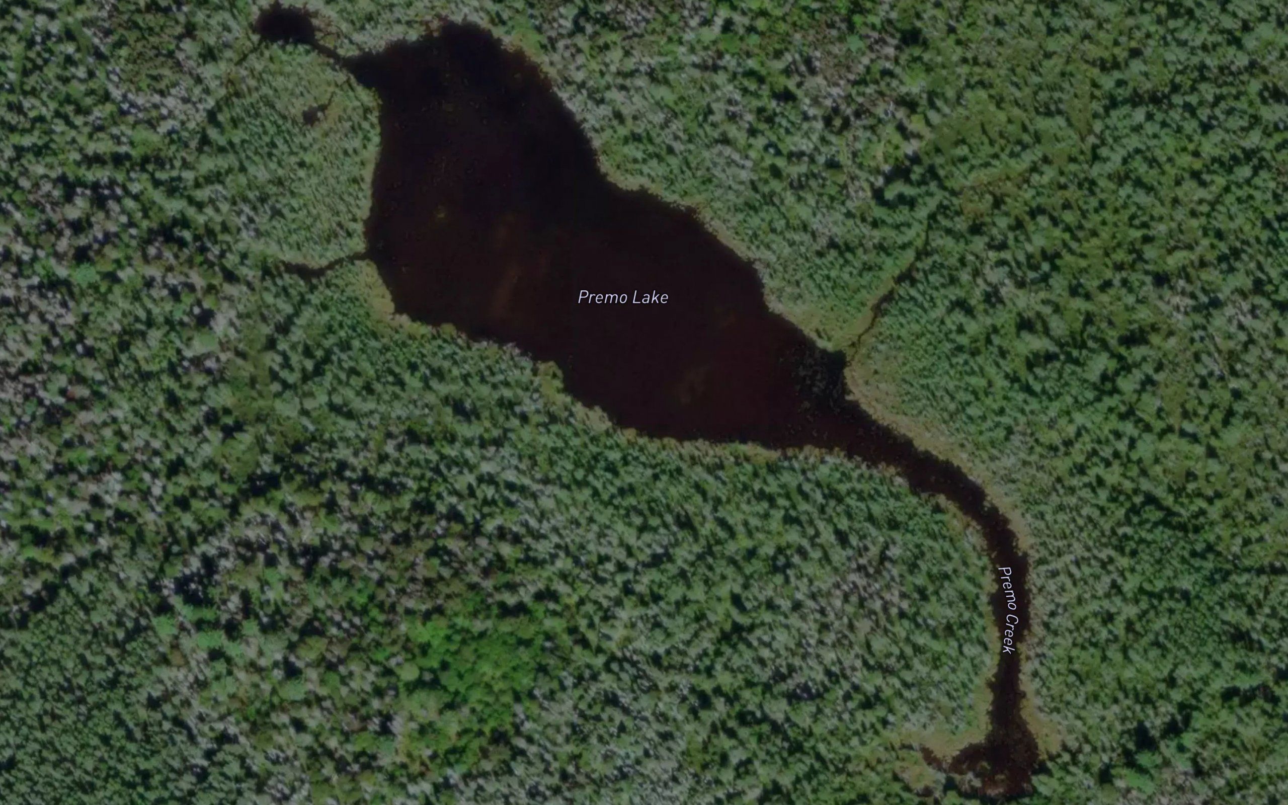 Premo Lake