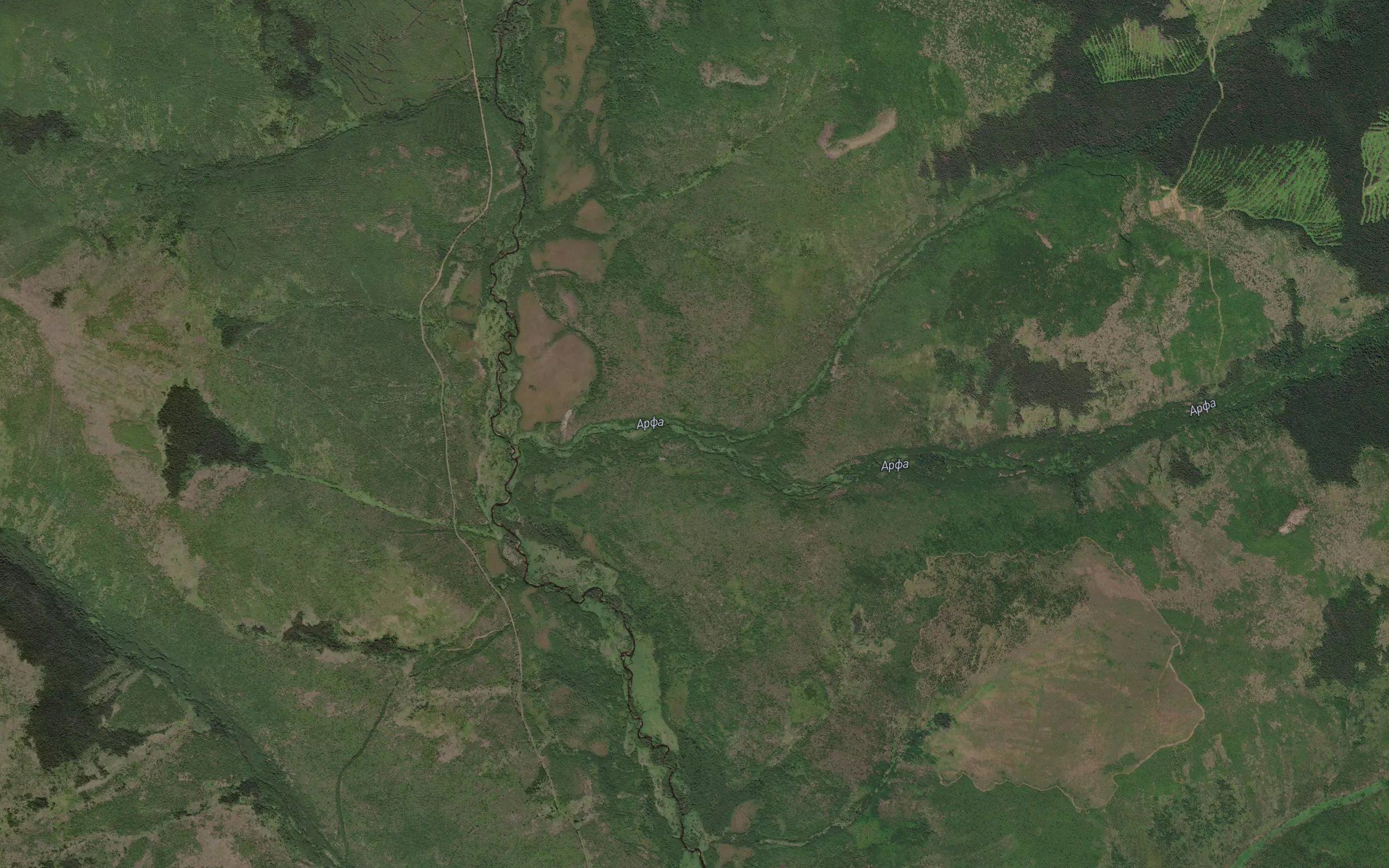 Rafailov