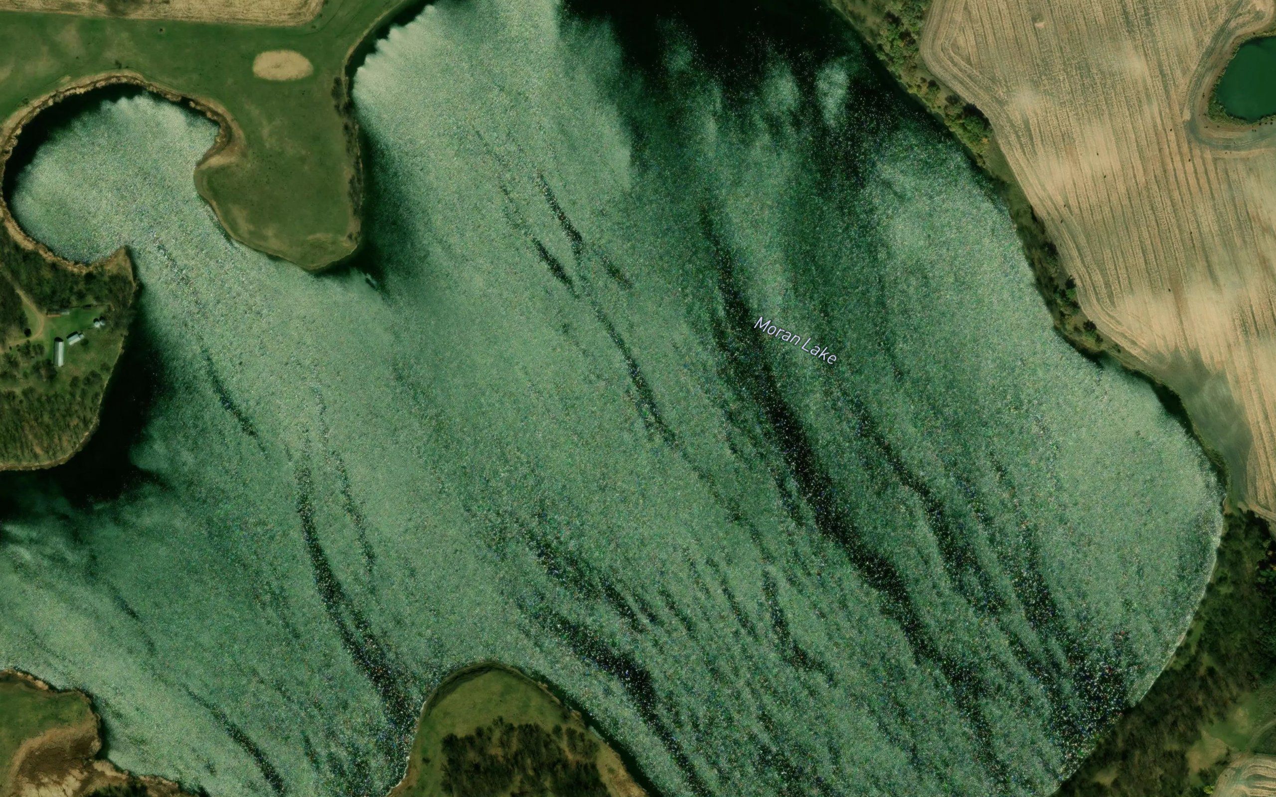 Moran Lake