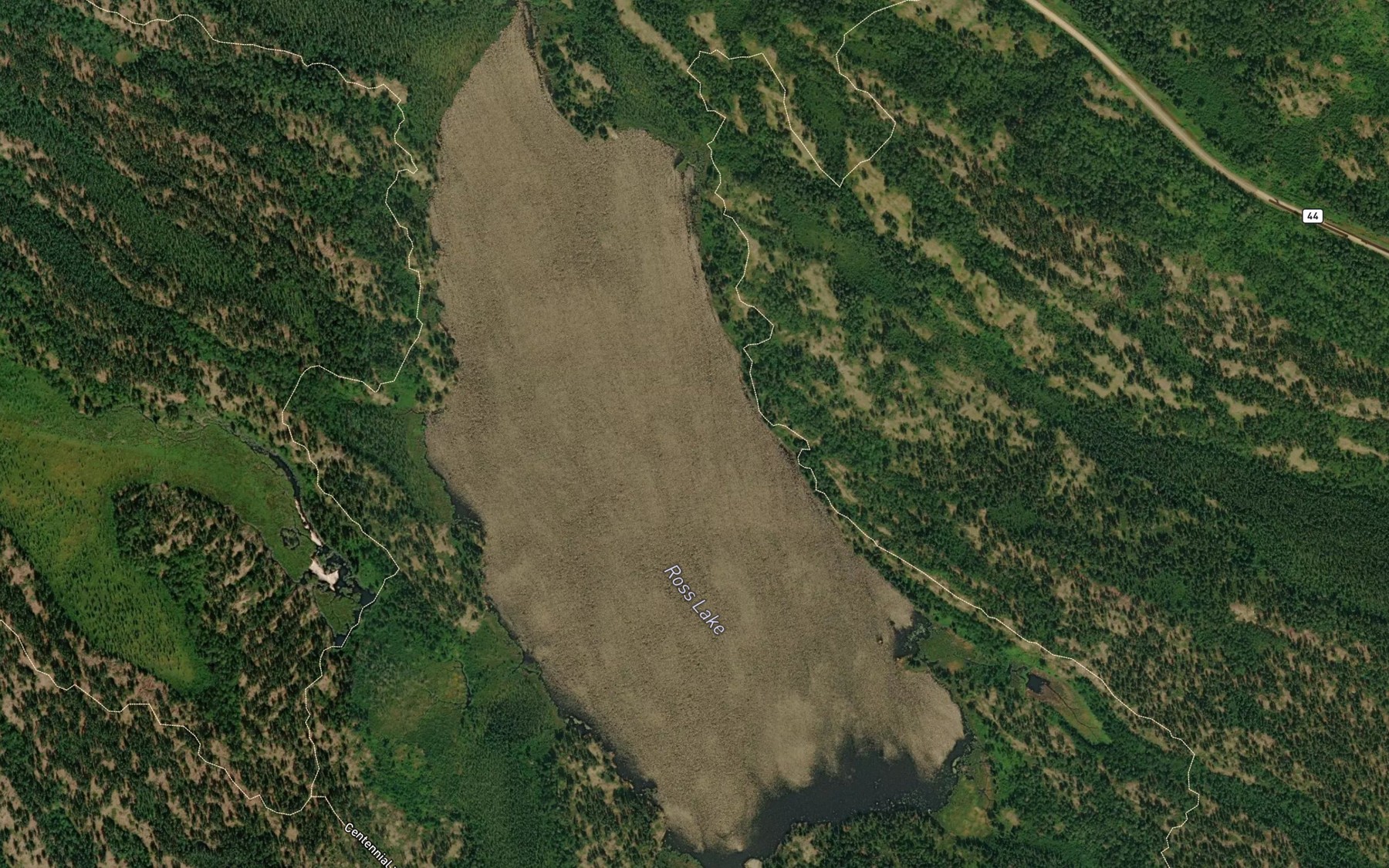 Satellite map of the Ross Lake