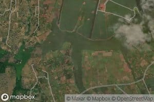 Naigogo