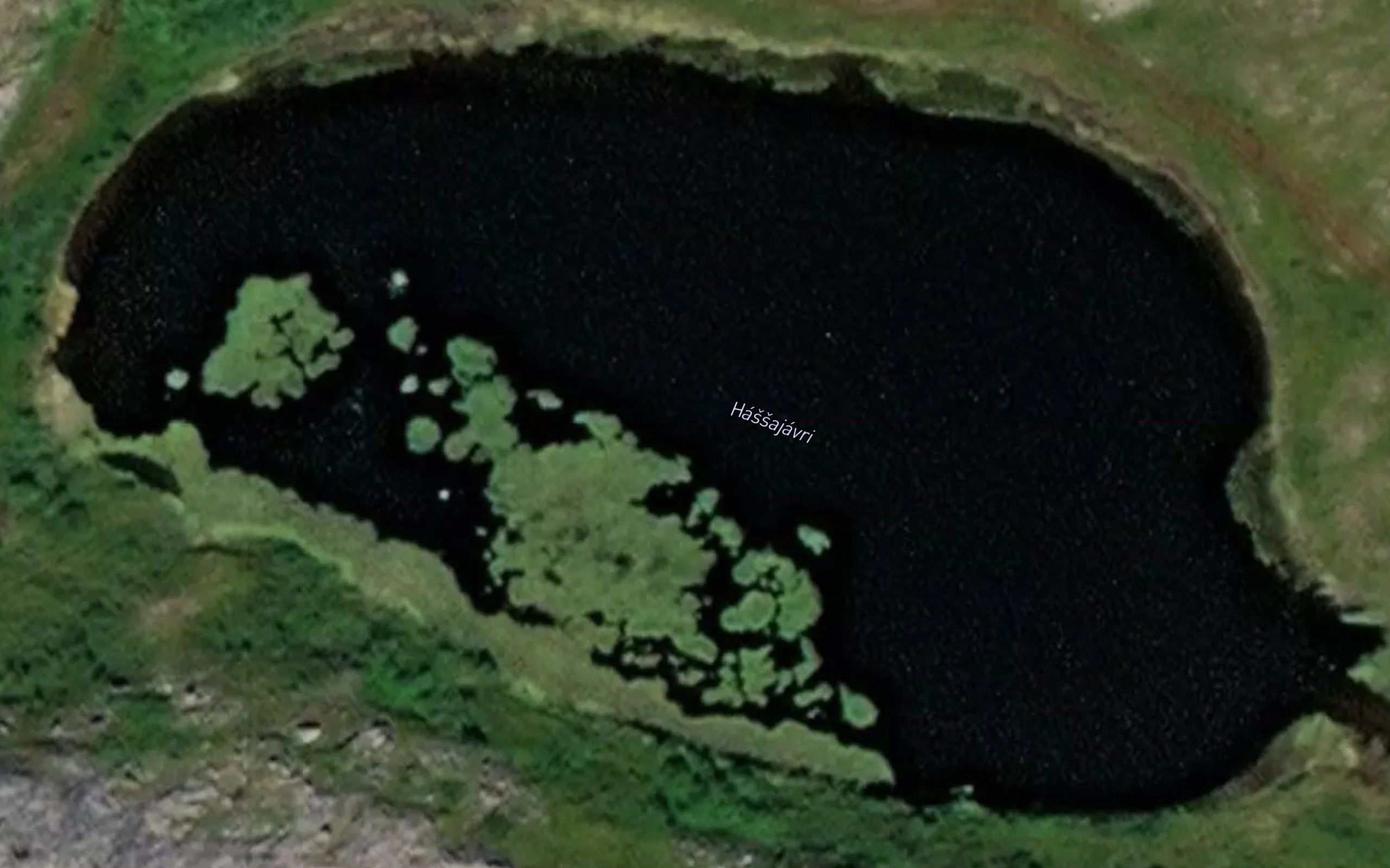 Hassajavri
