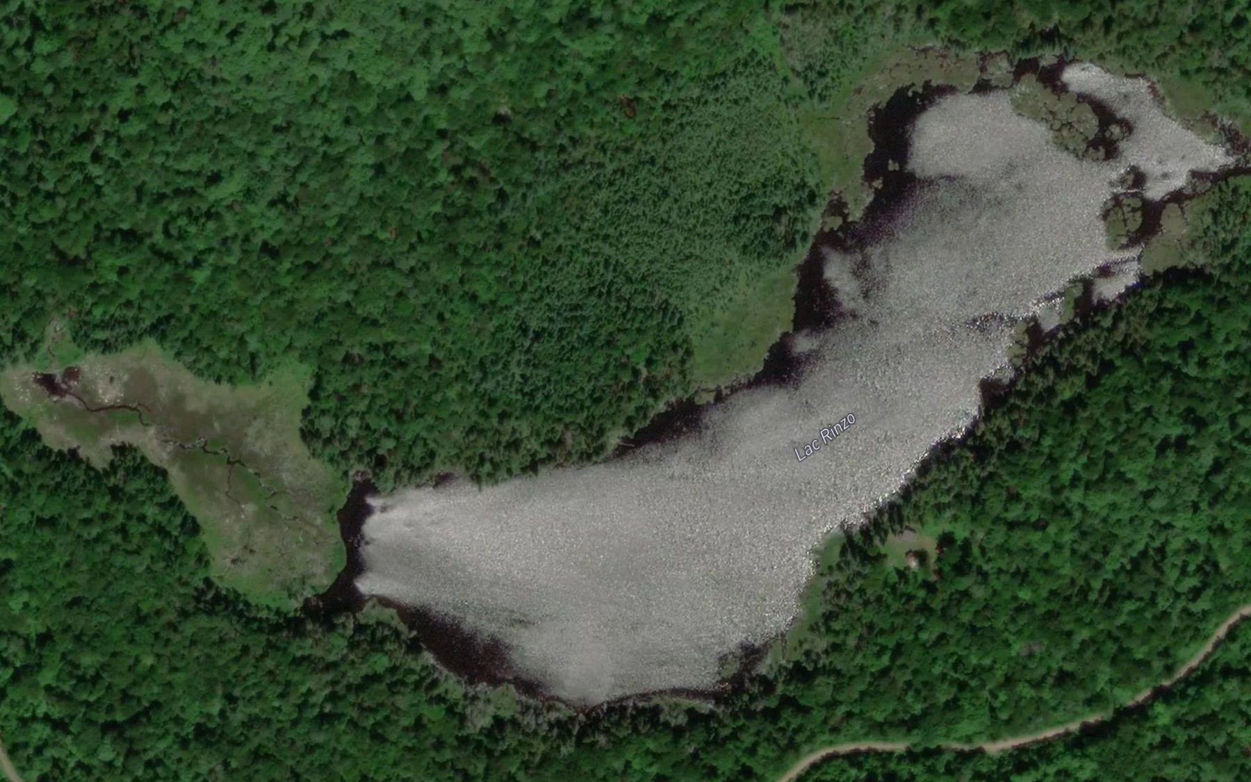Satellite map of the Lac Rinzo