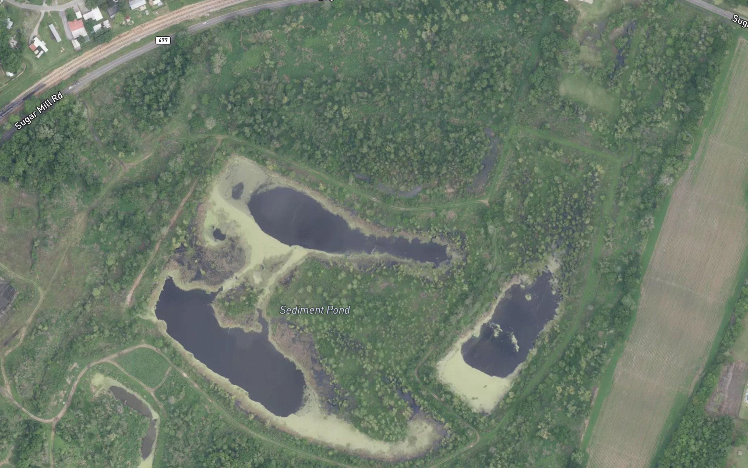 Sediment Pond