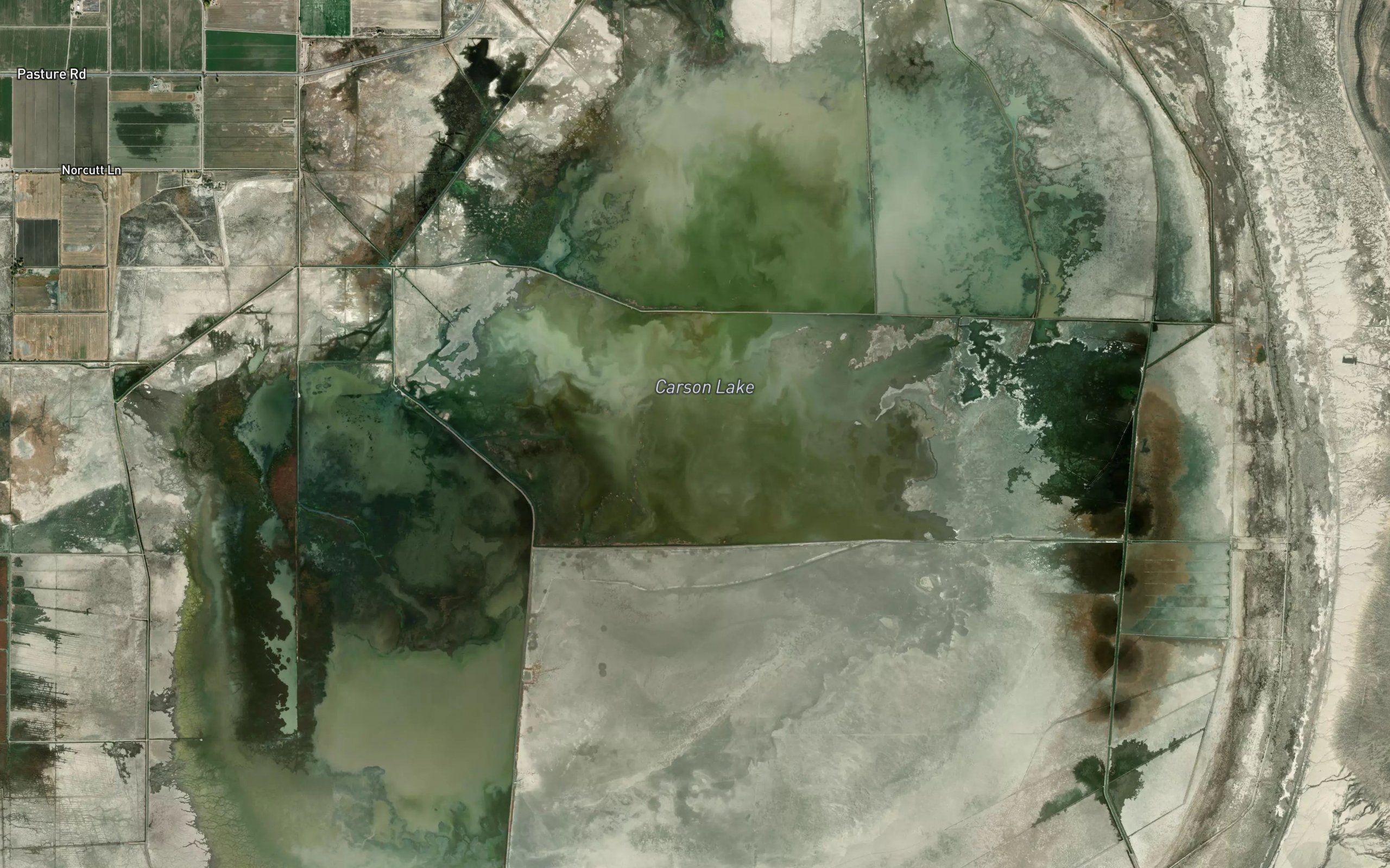 Carson Lake
