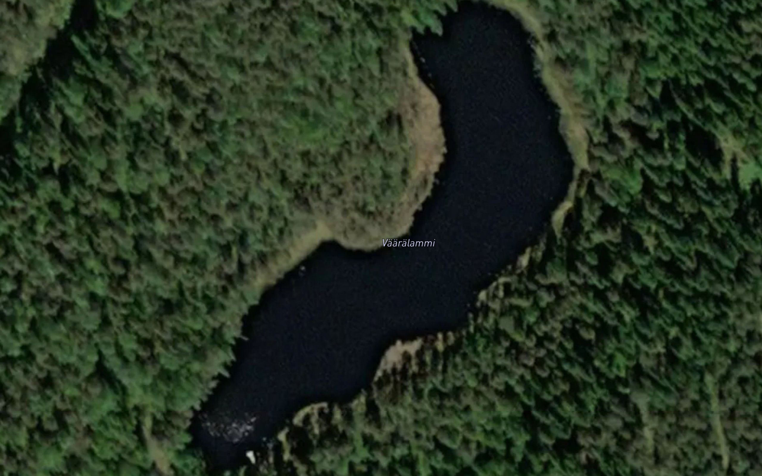 Vaaralammi