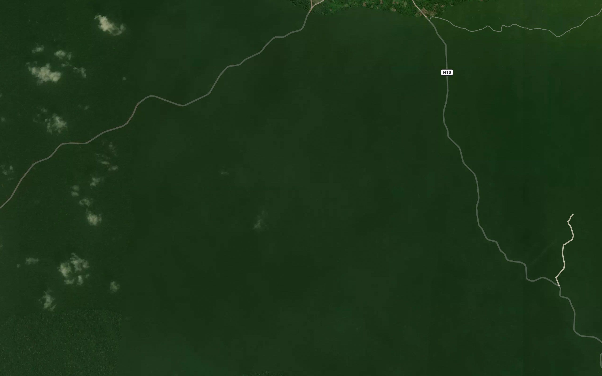 Amoana
