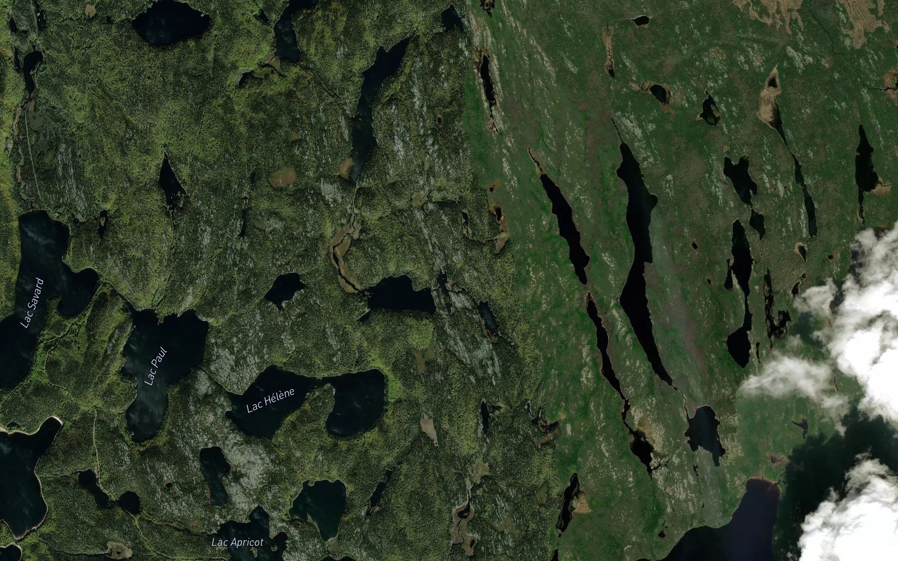 Satellite map of the Lac Ha!Ha!