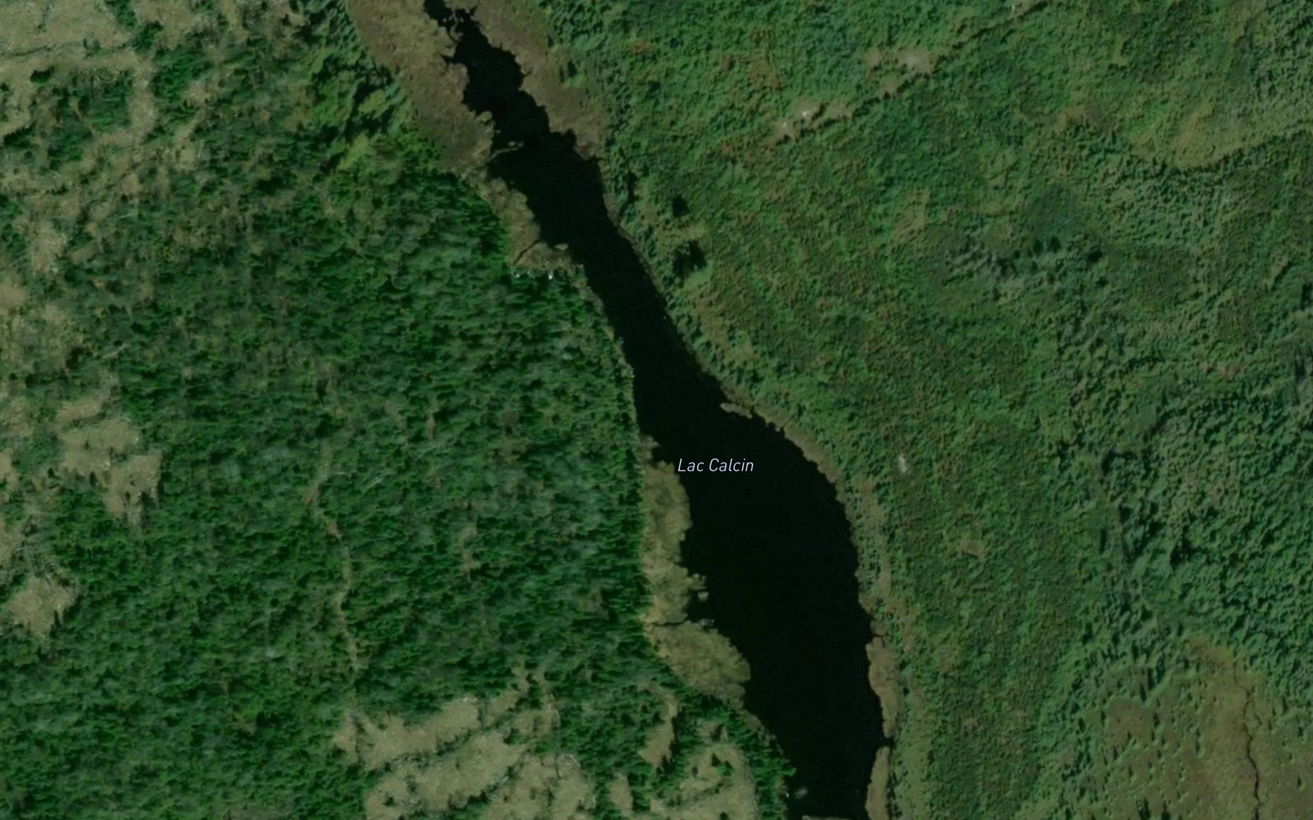 Lac Calcin