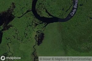 Cano Pescado Chiquito