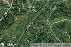 Scaffold Creek