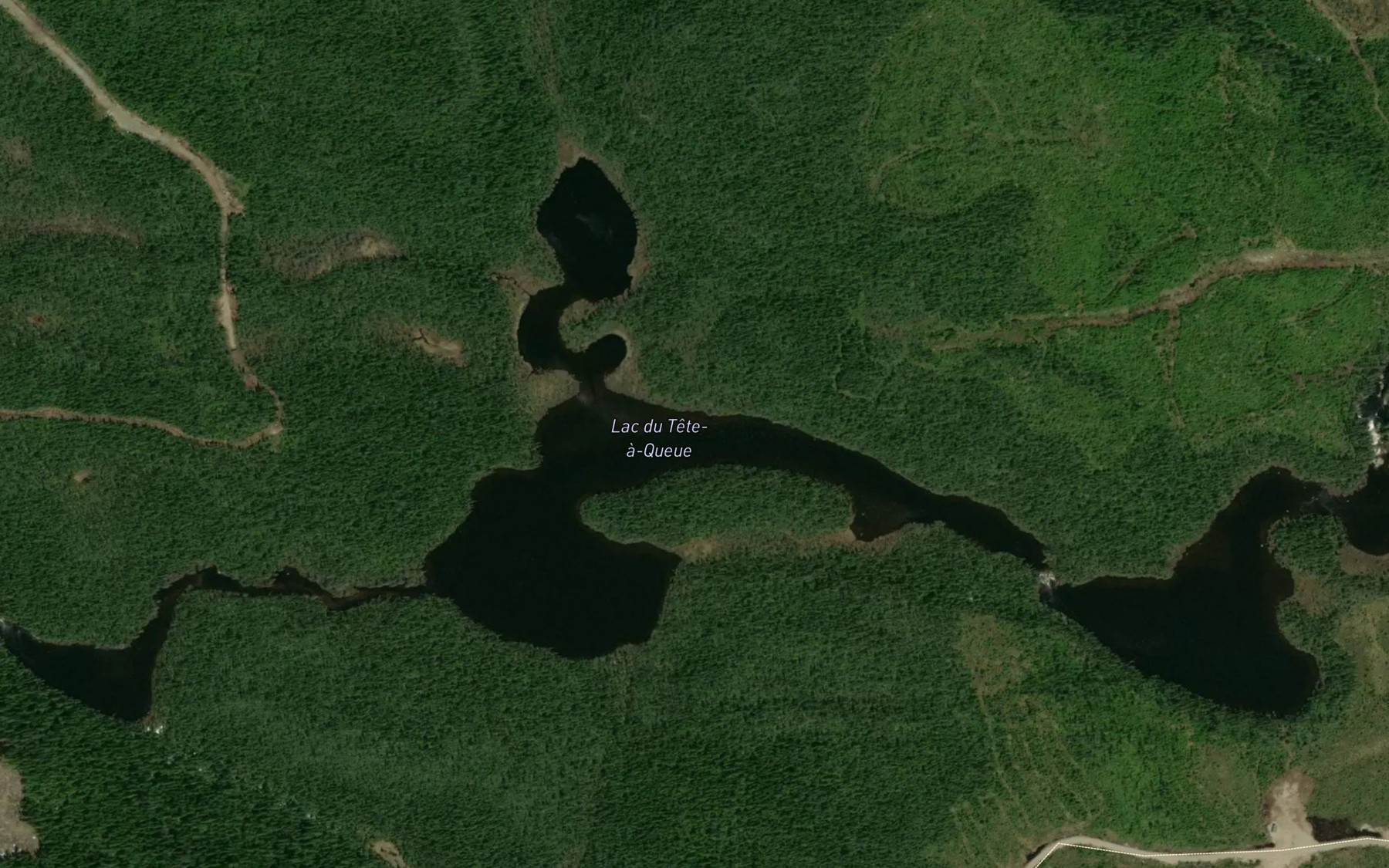 Satellite map of the Lac du Tete-a-Queue