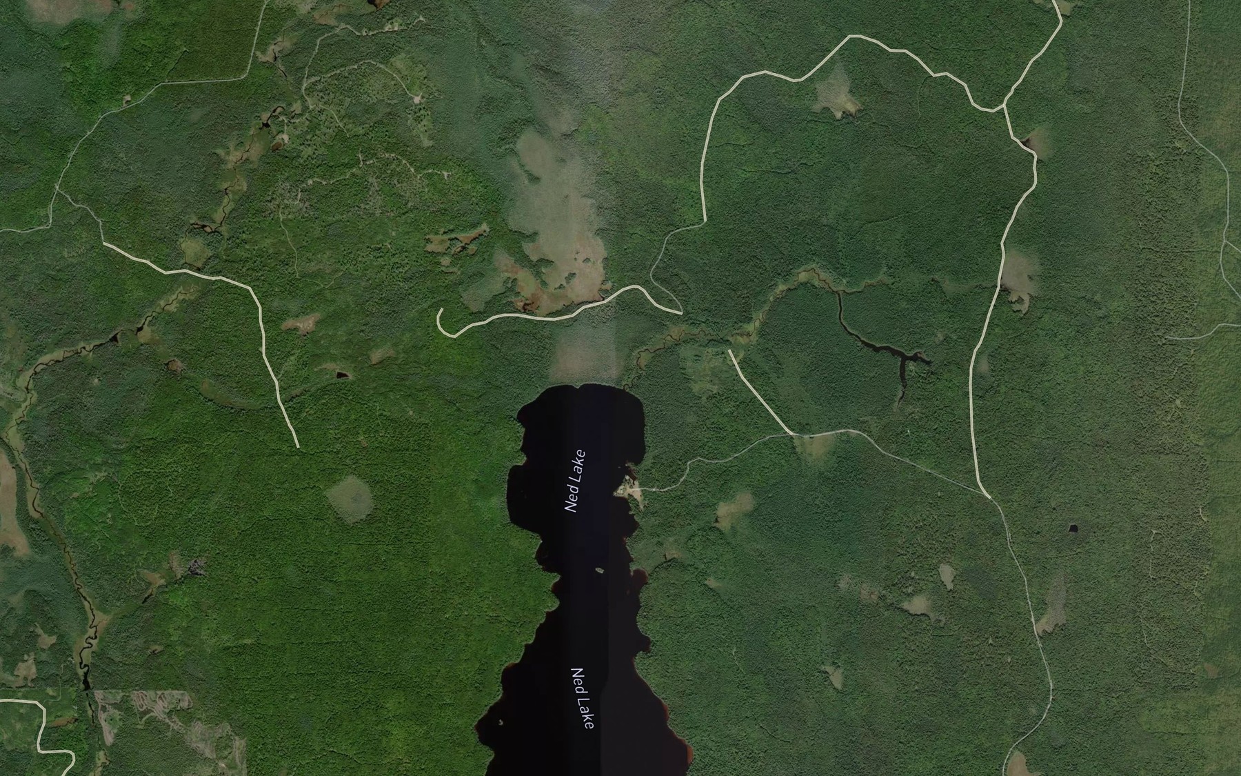 Satellite map of the Ned Lake Creek