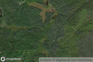 East Fork Premo Creek