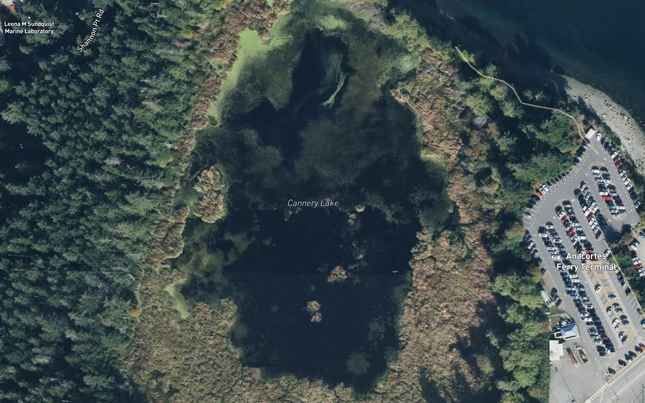 Cannery Lake