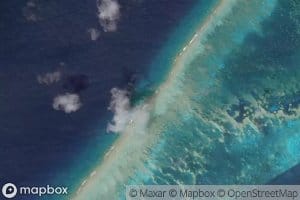 Surfacing Coral Reef