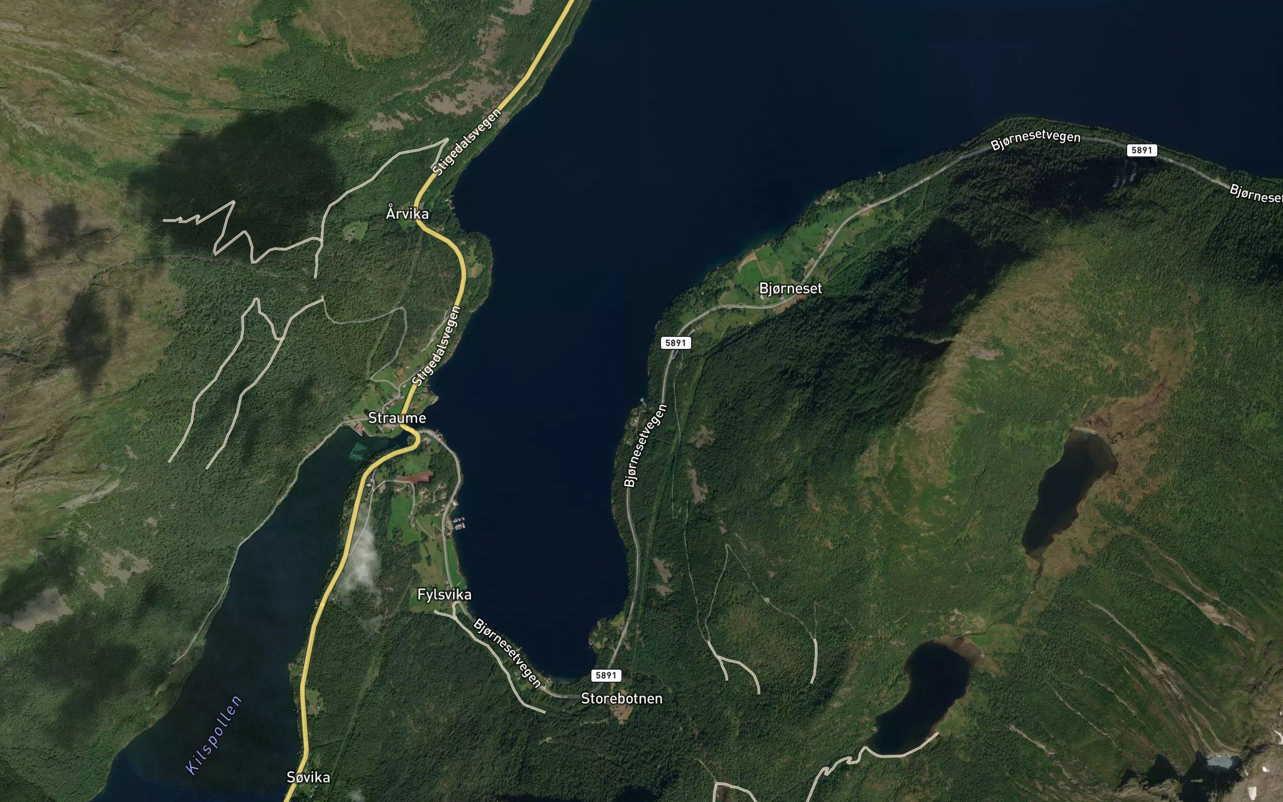 Skoravika