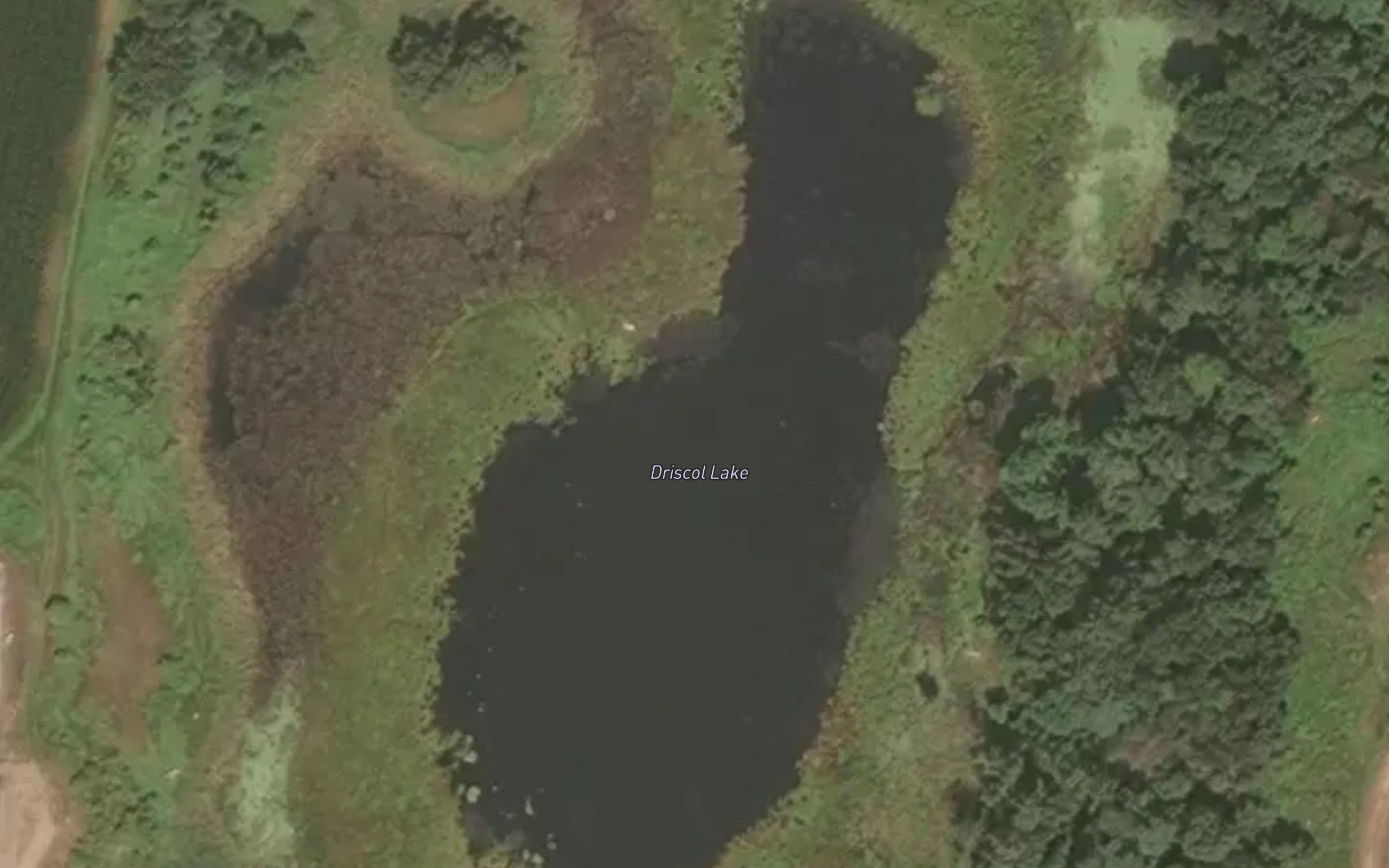 Driscol Lake