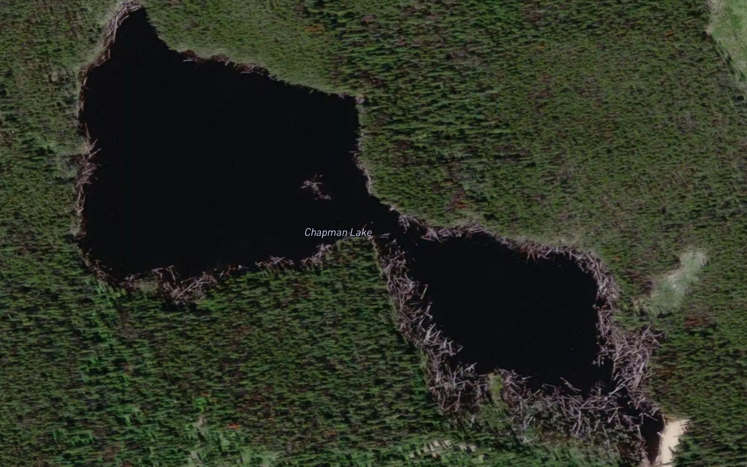 Chapman Lake