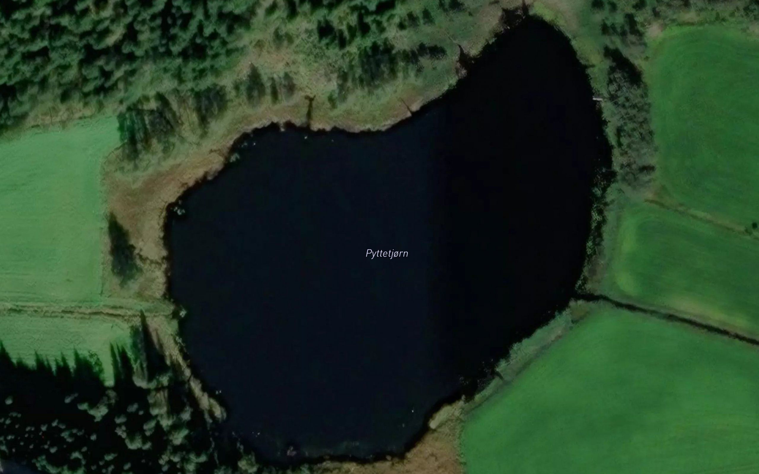 Pyttetjonn