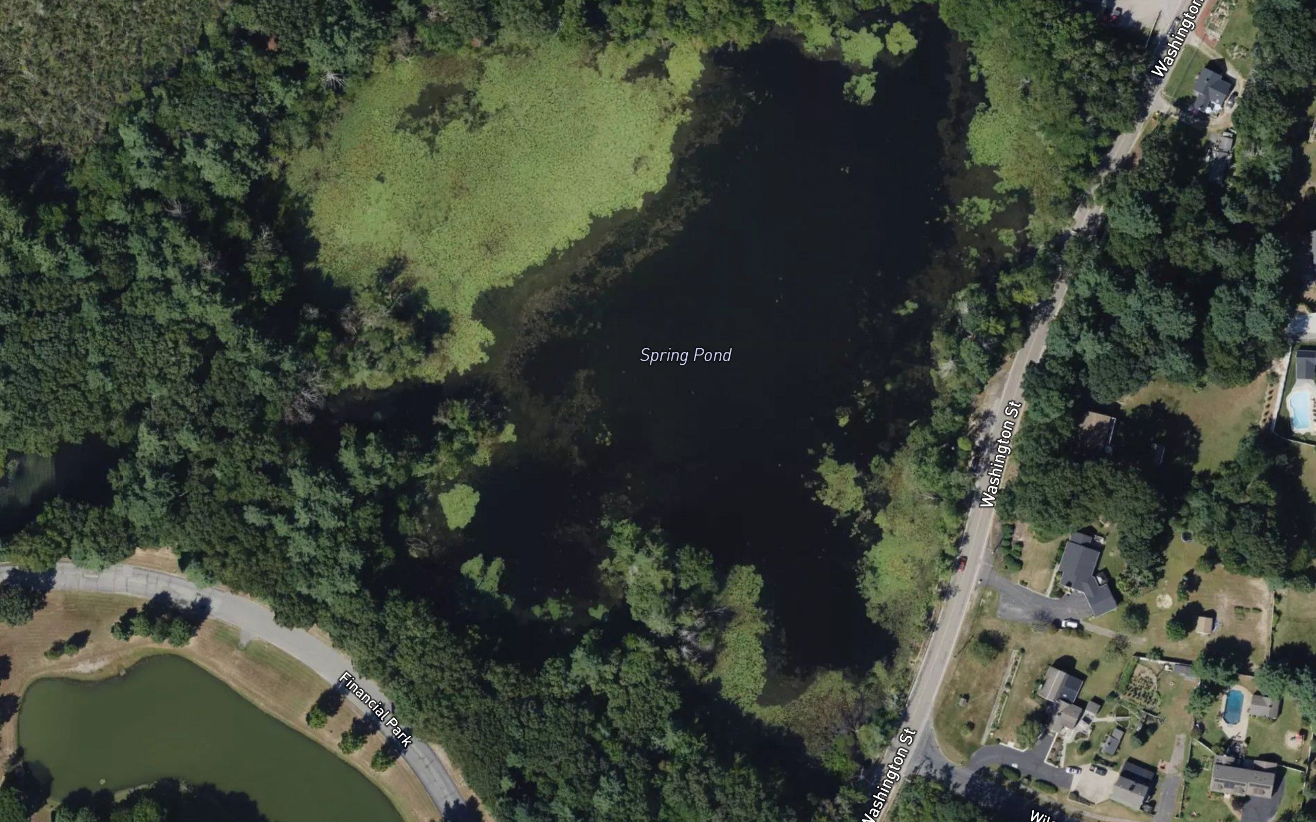 Spring Pond