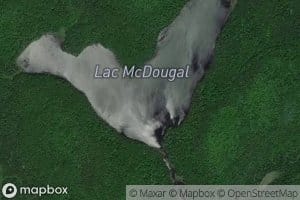 Lac McDougal