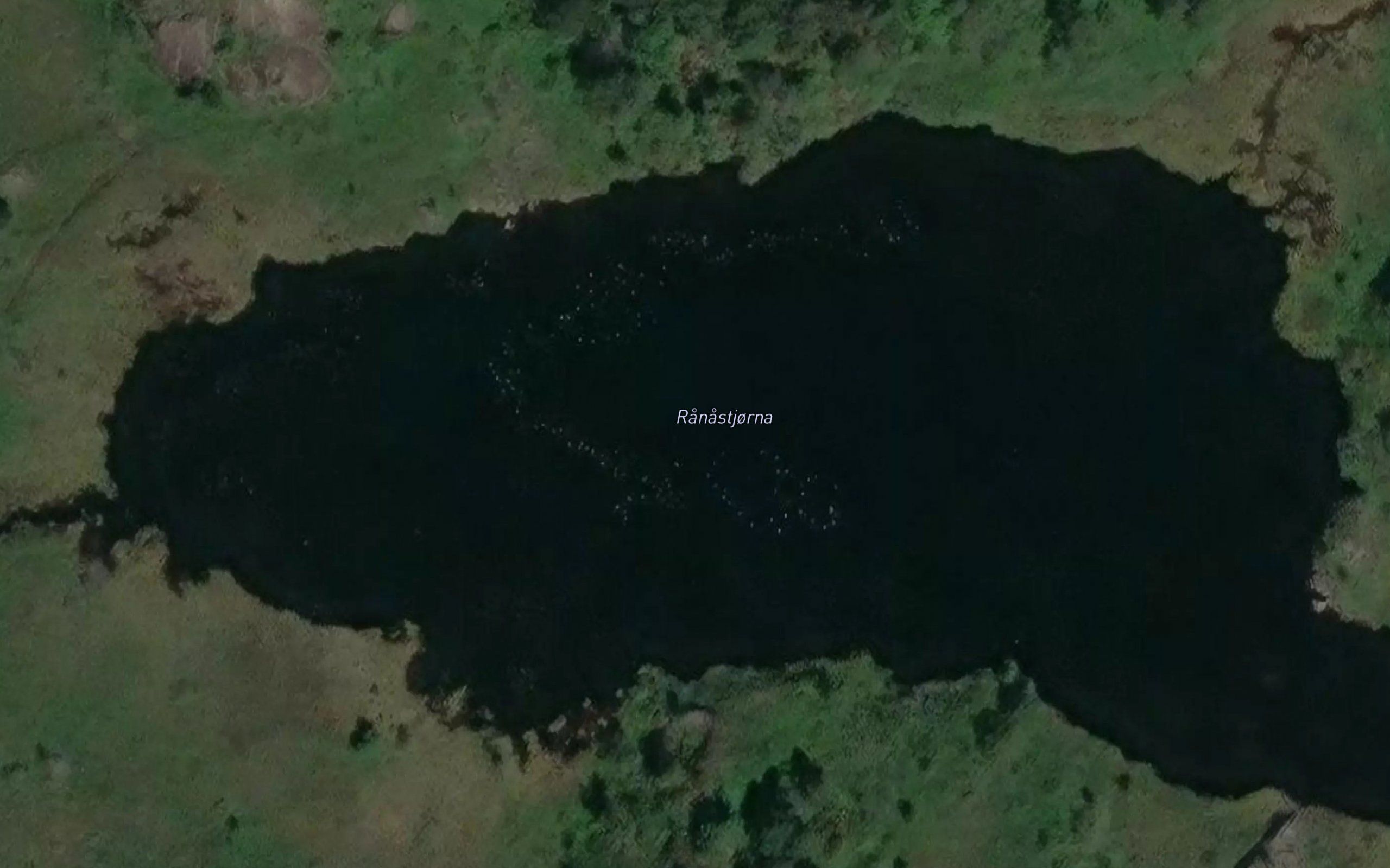 Ranastjorna