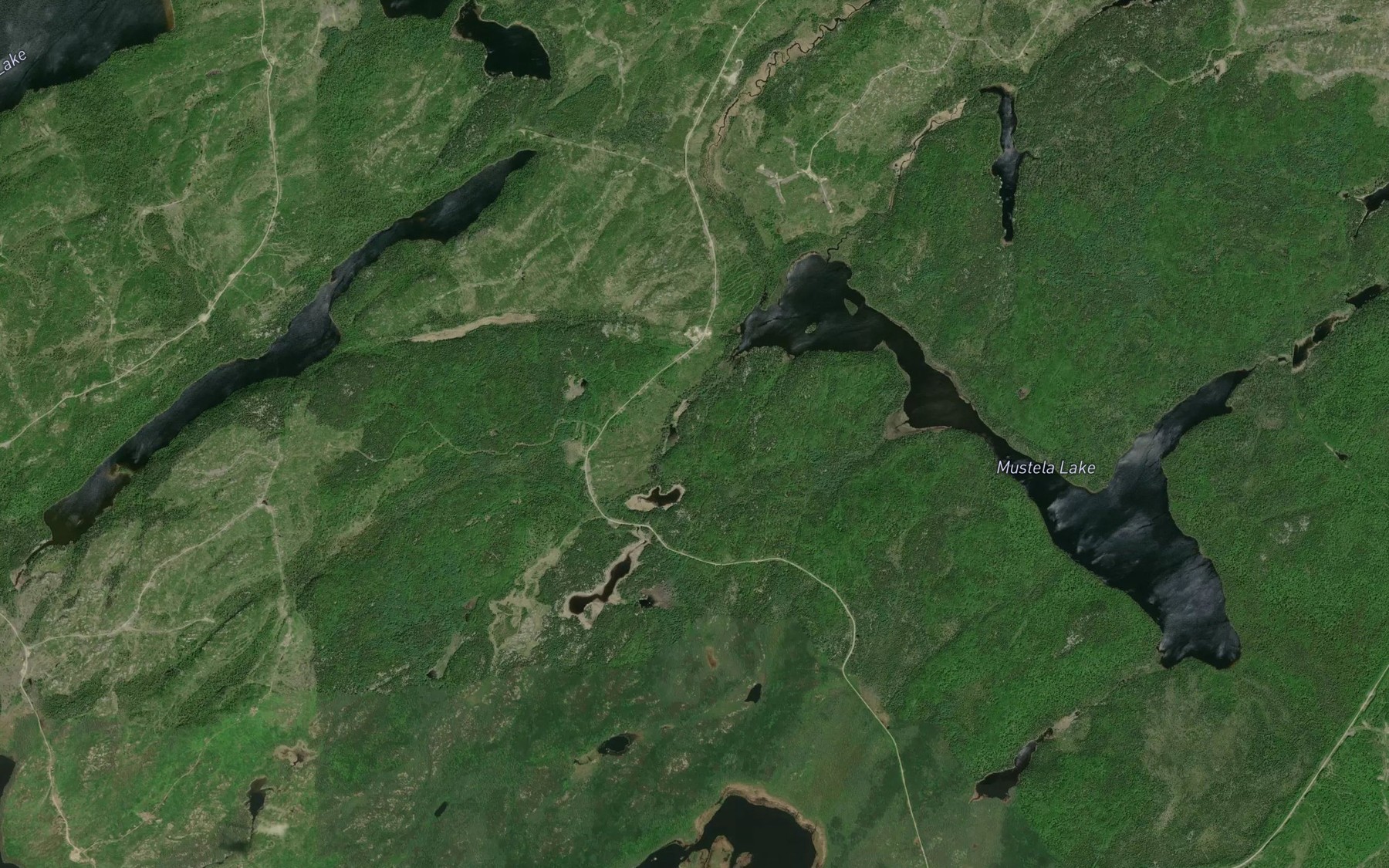 Satellite map of the Mustela Creek