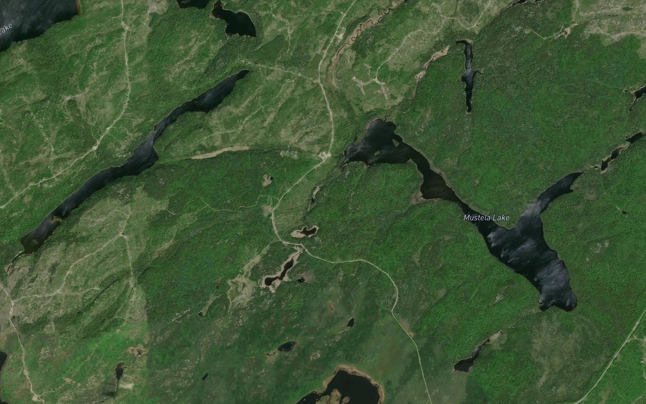 Mustela Creek