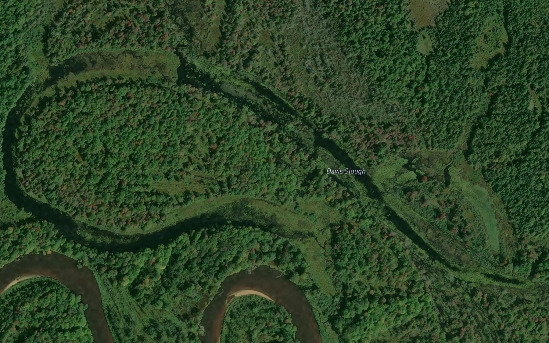 Satellite map of the Davis Slough