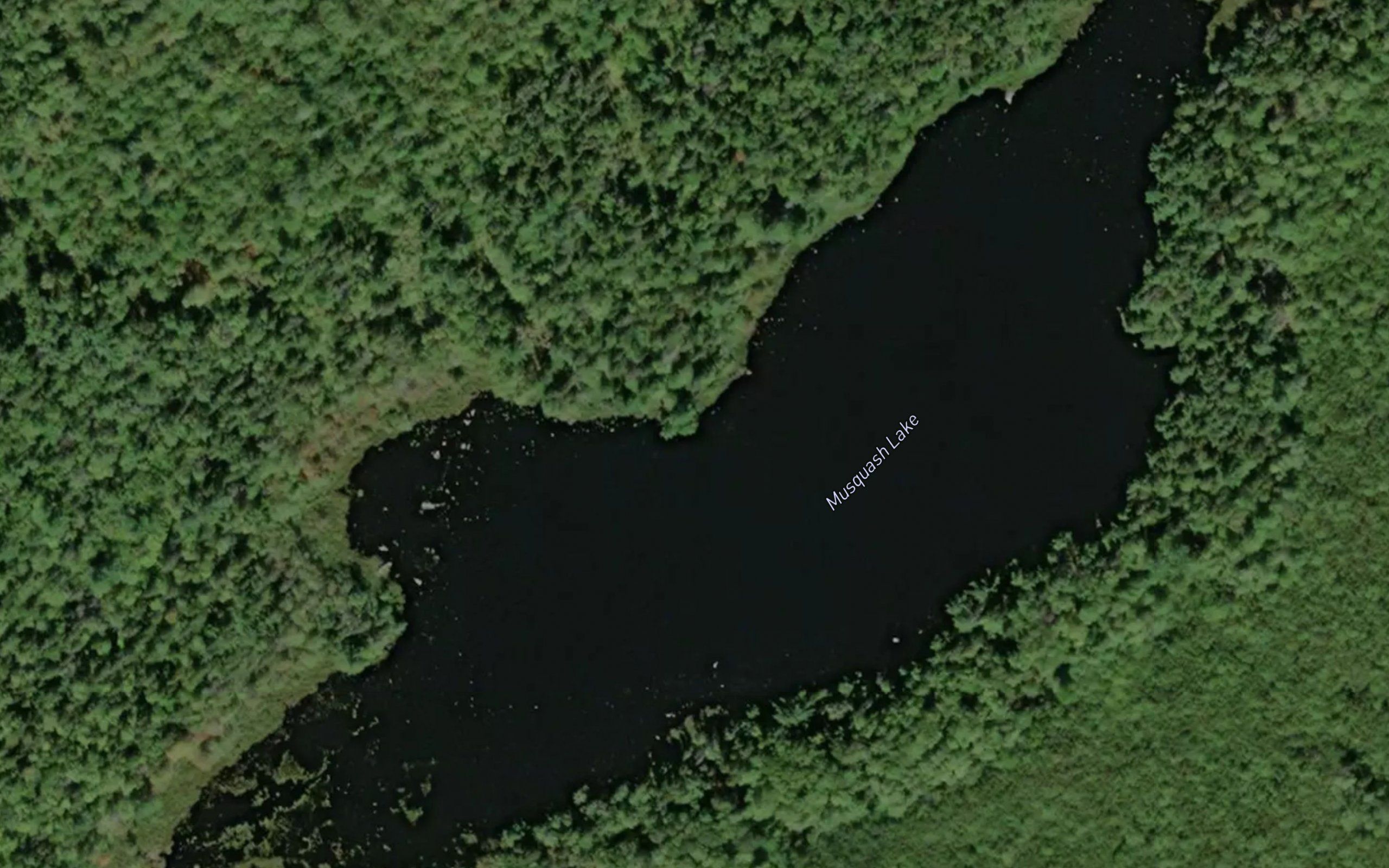 Musquash Lake