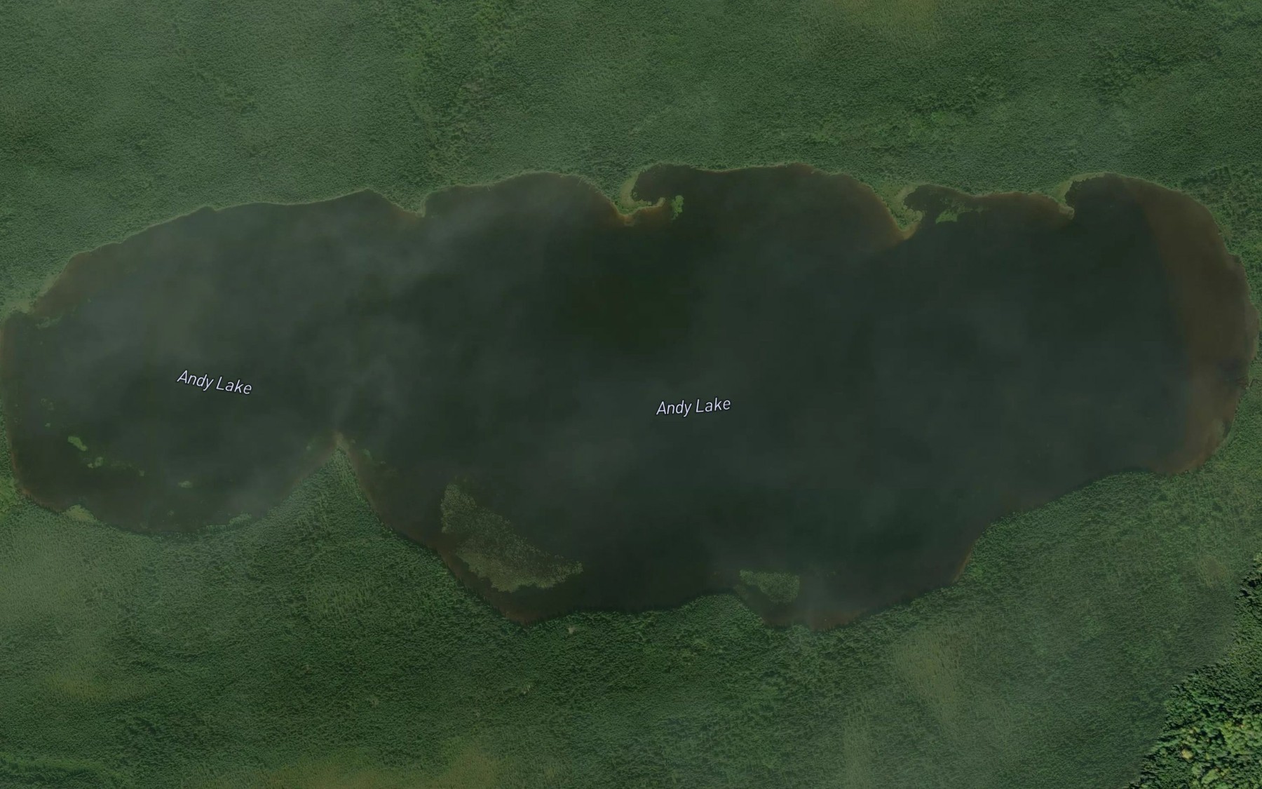 Satellite map of the Andy Lake