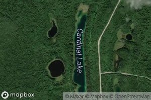 Cardinal Lake