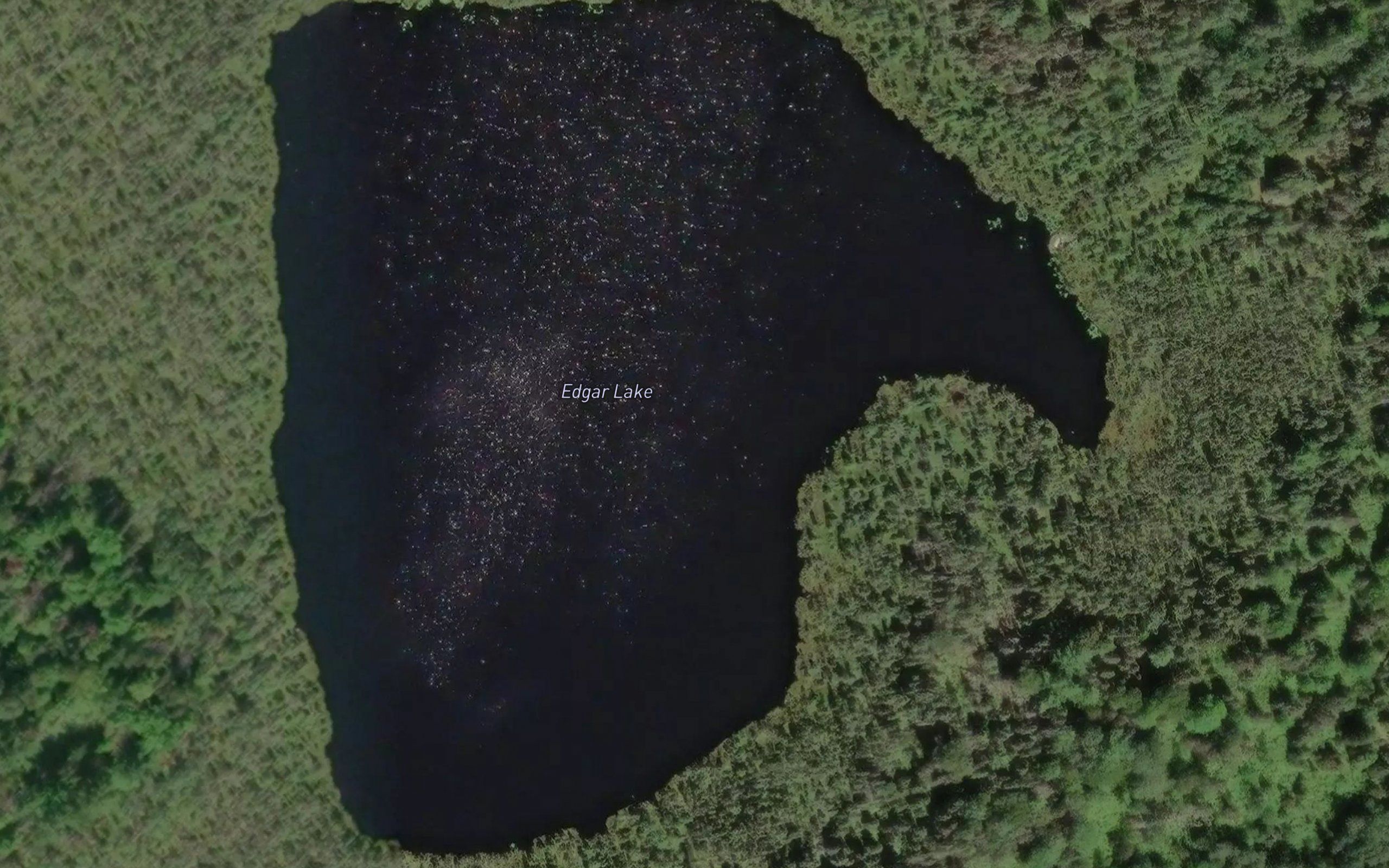 Edgar Lake