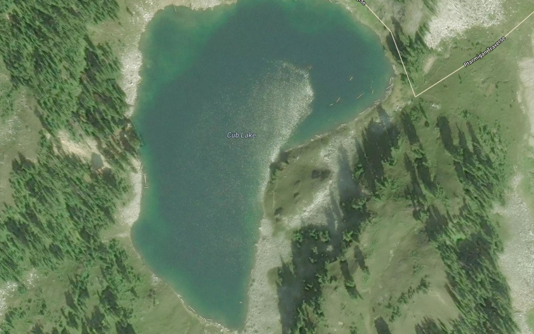 Satellite map of the Cub Lake