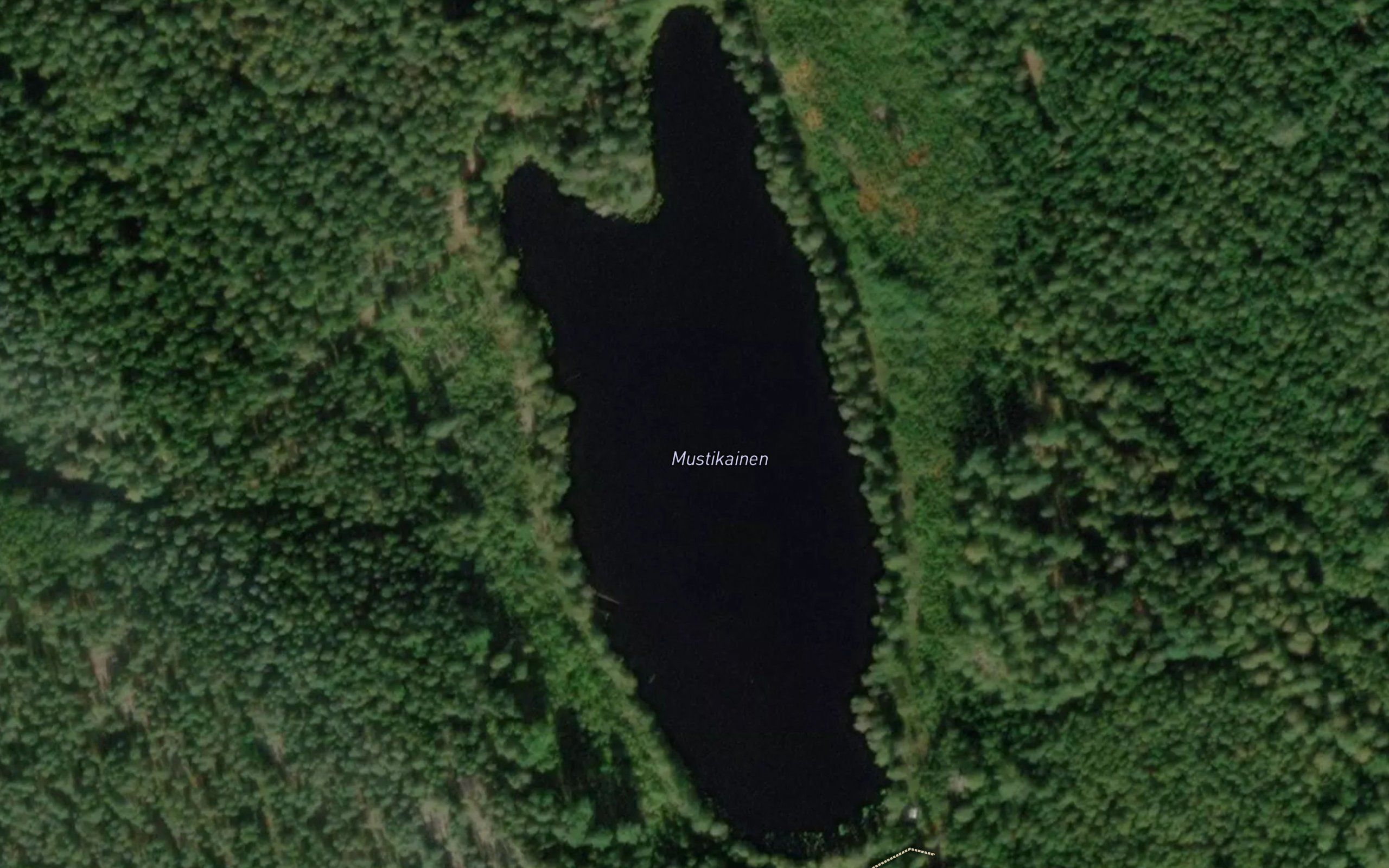 Mustikainen