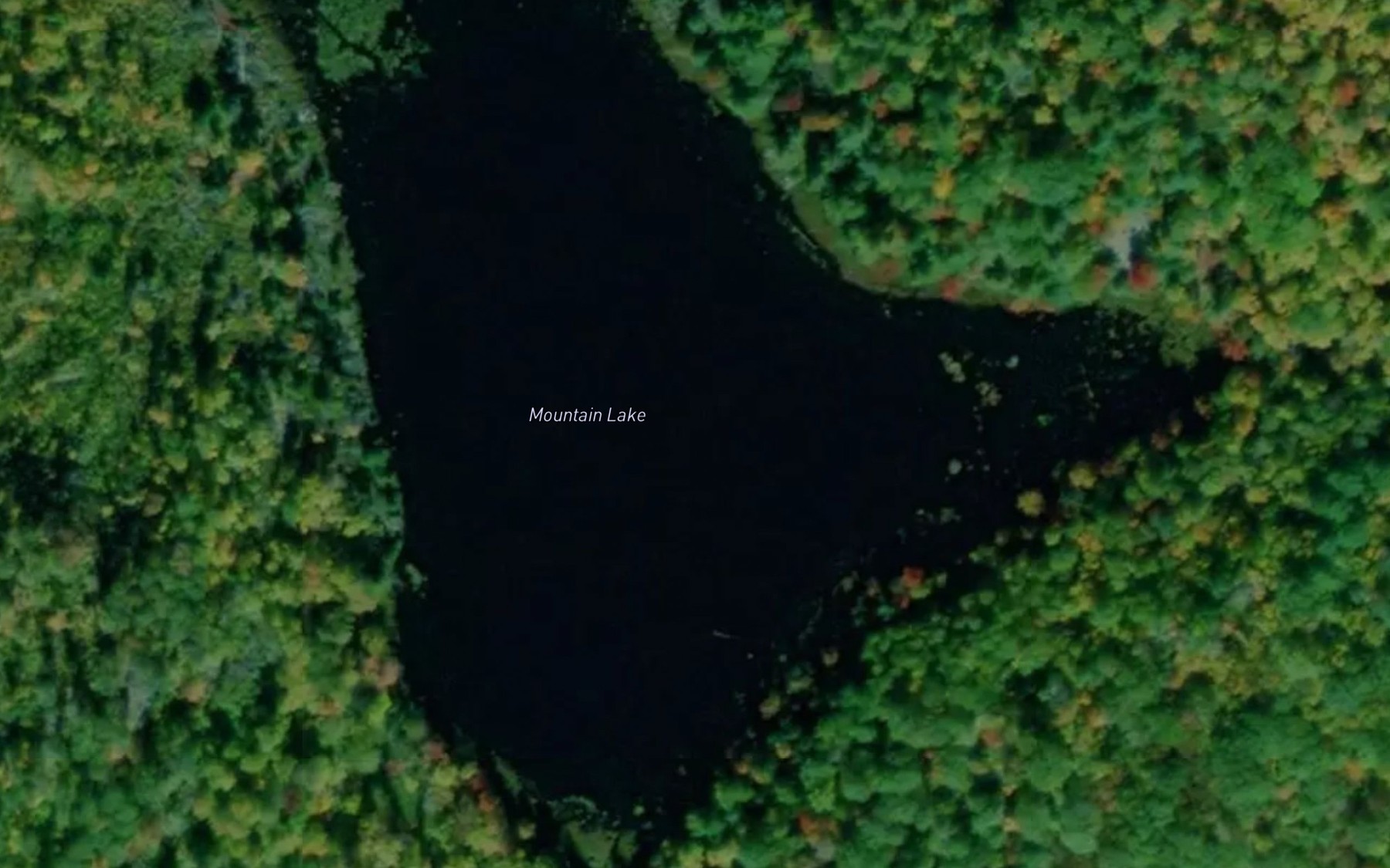 Satellite map of the Mountain Lake