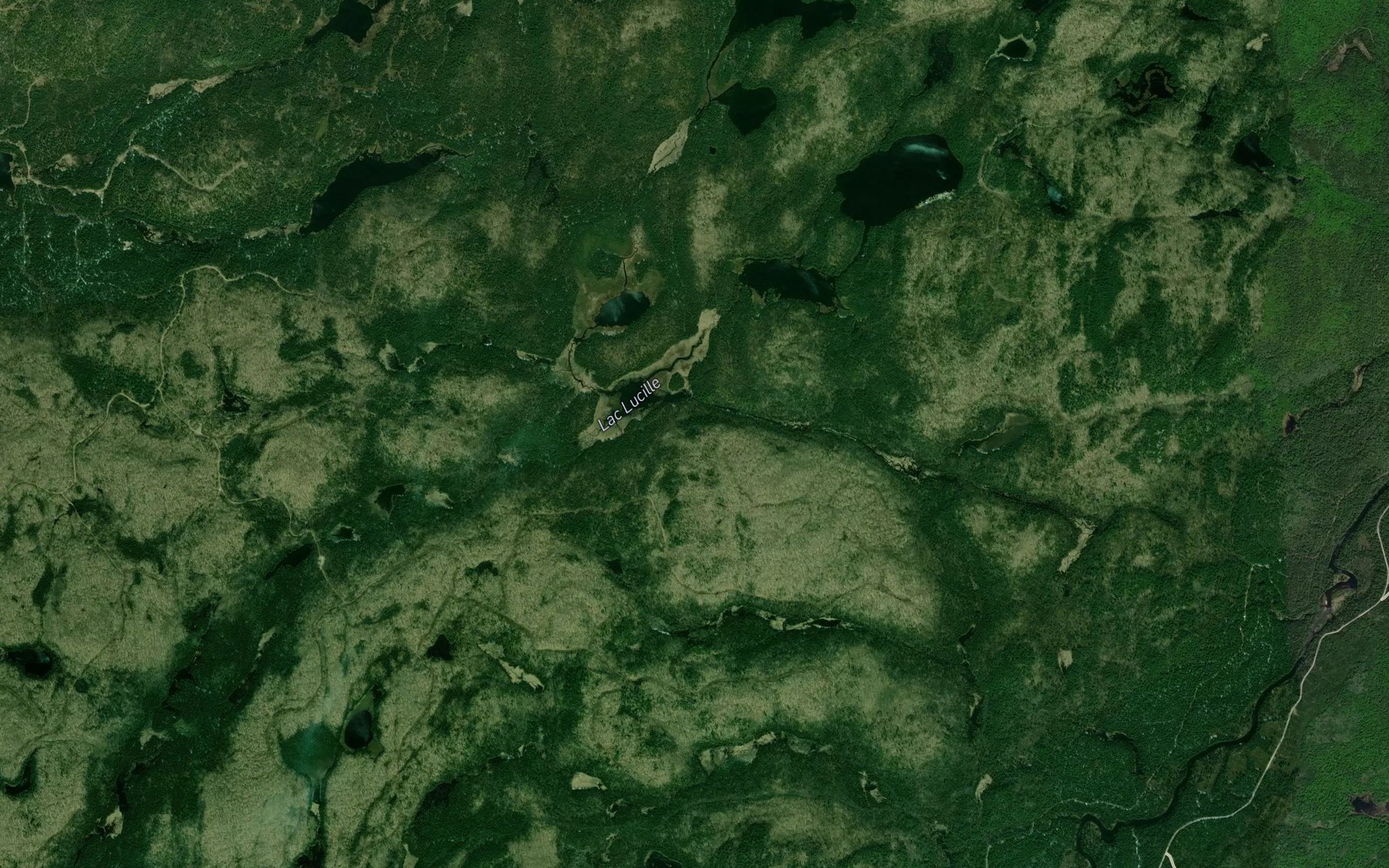 Satellite map of the Lac Rheaume