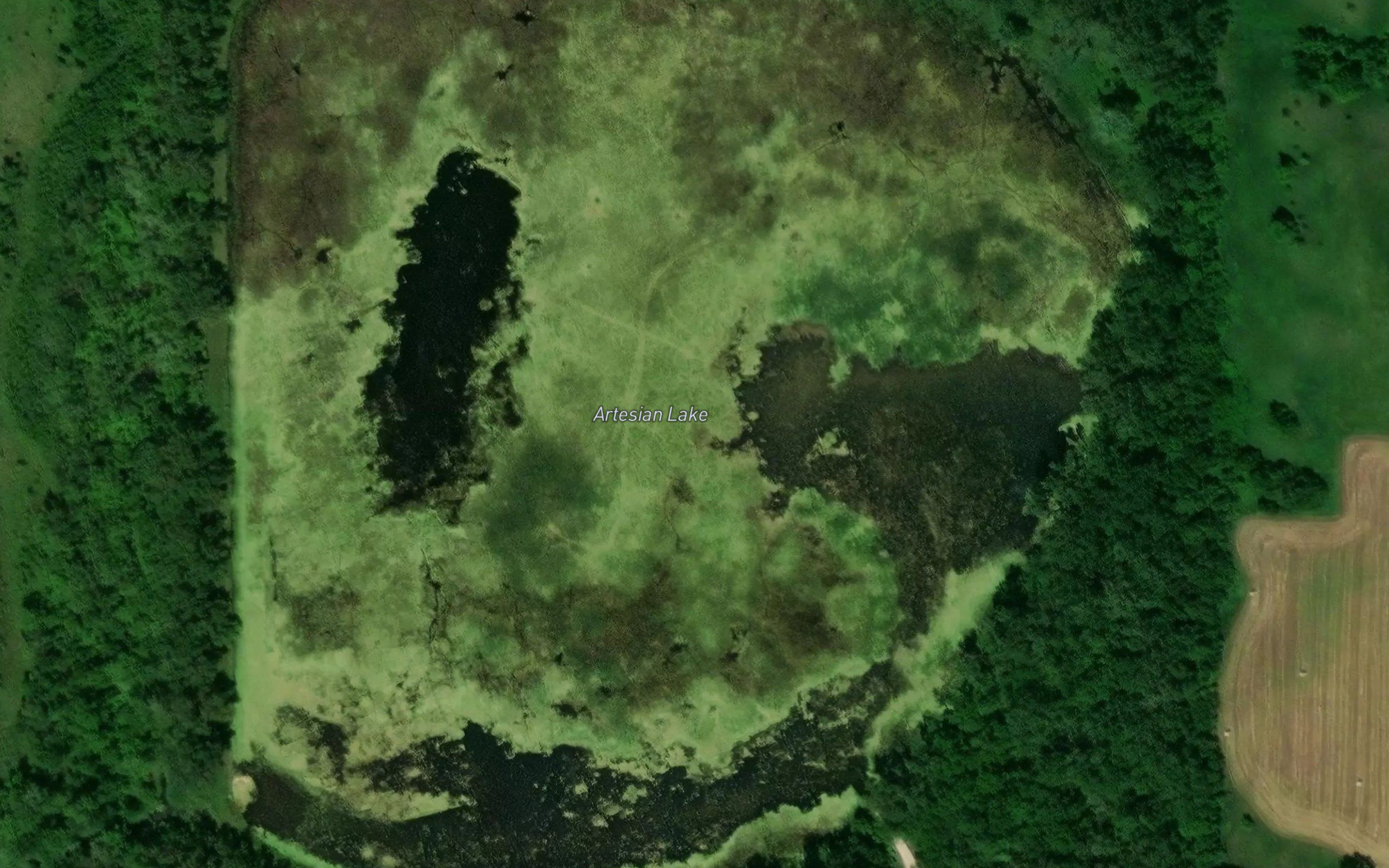 Artesian Lake