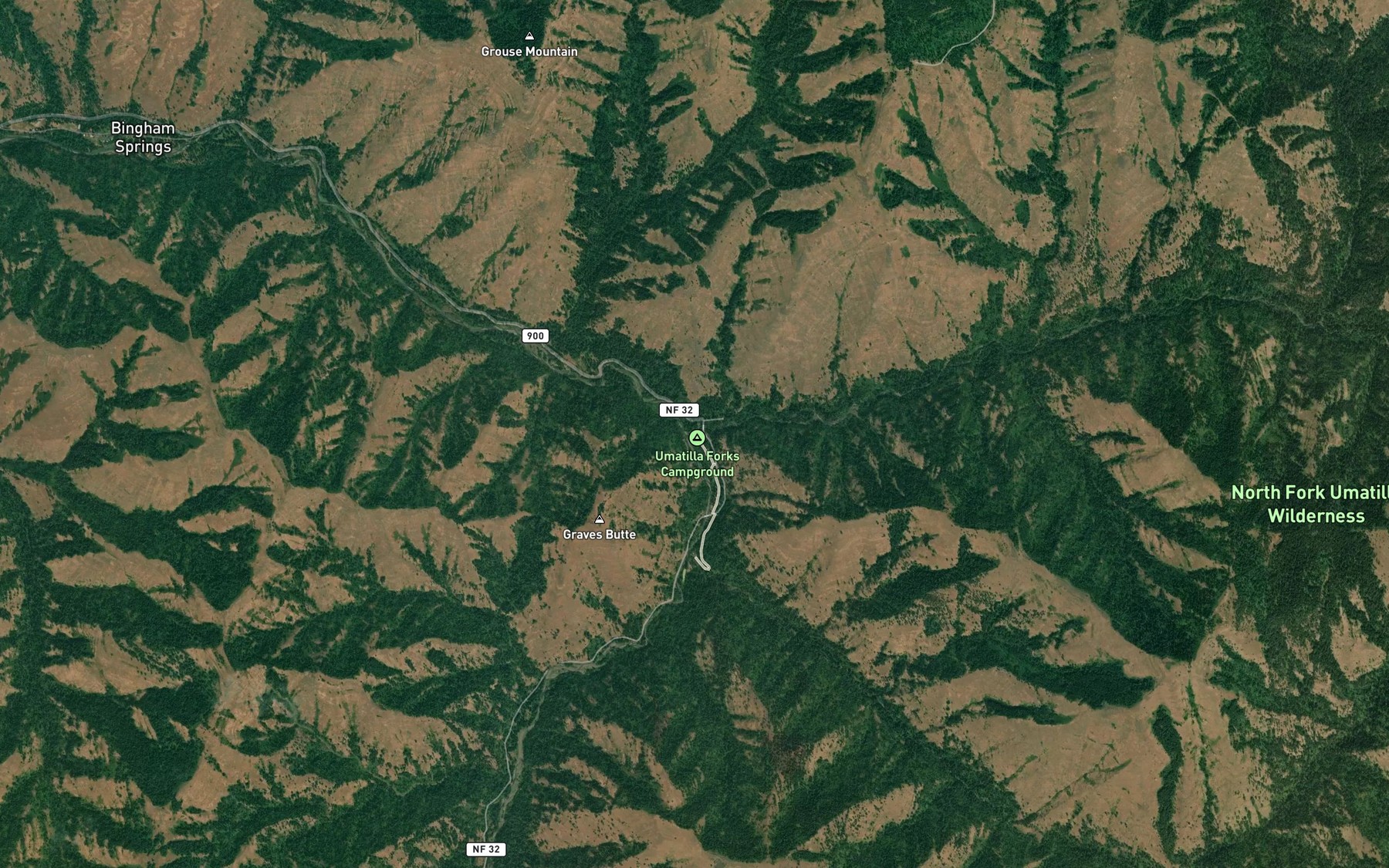 Satellite map of the South Fork Umatilla River
