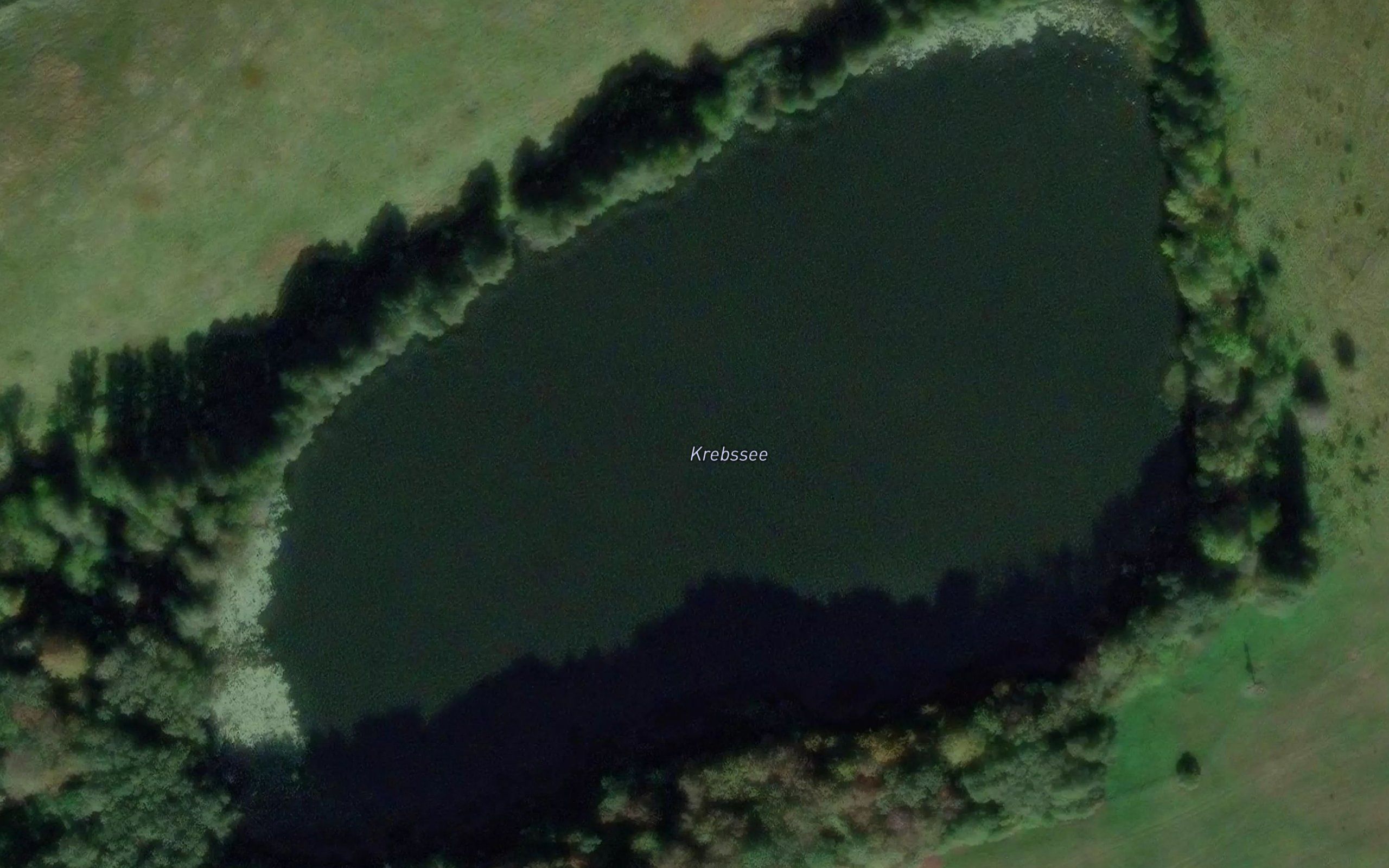 Krebssee