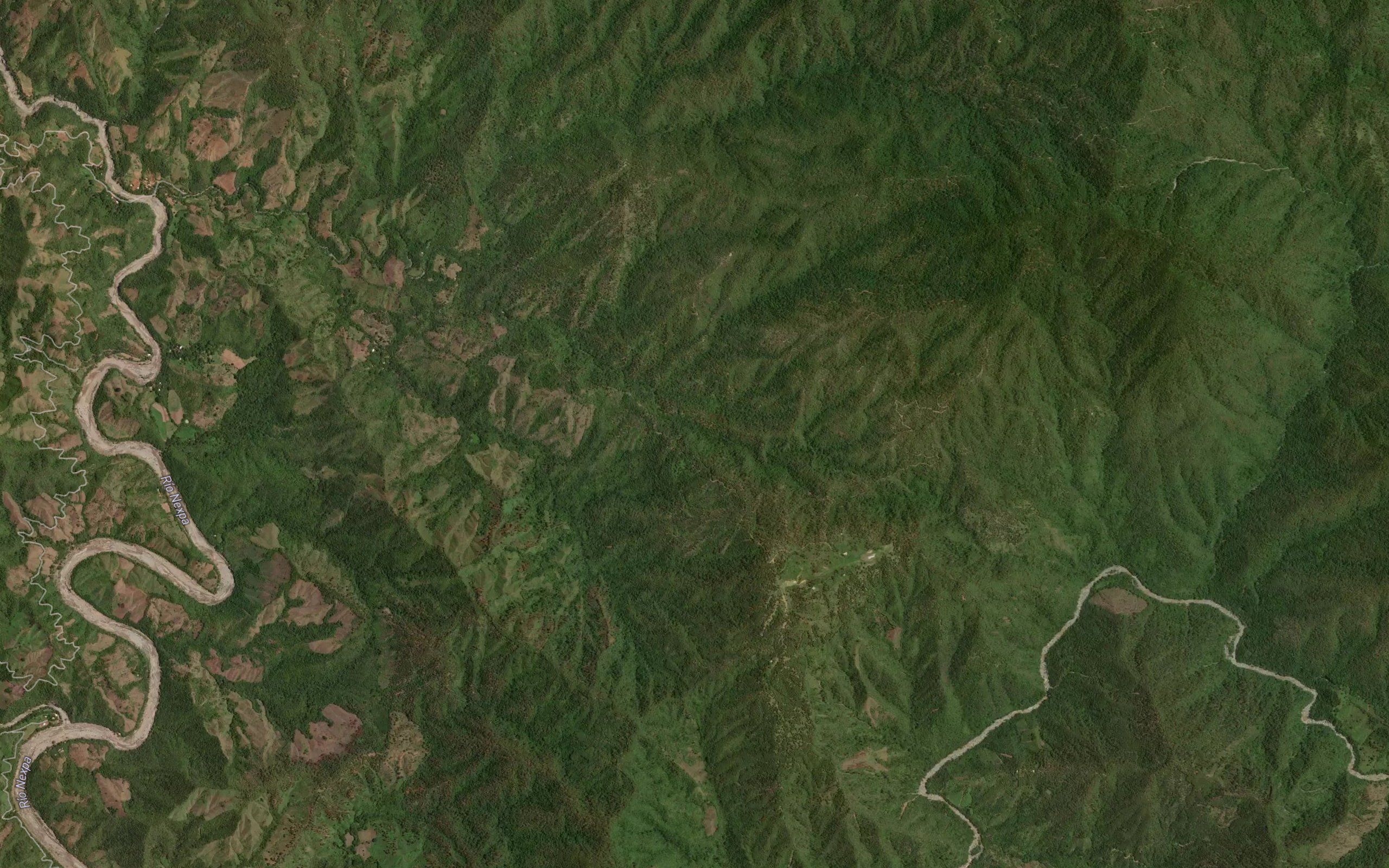 Palo Dulce