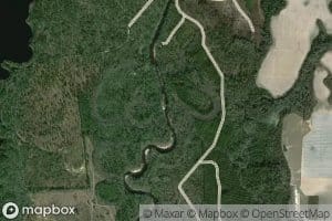 Reedy Creek