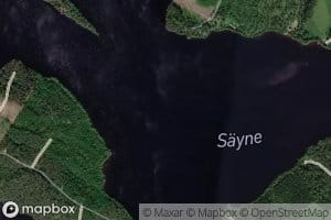 Sayne