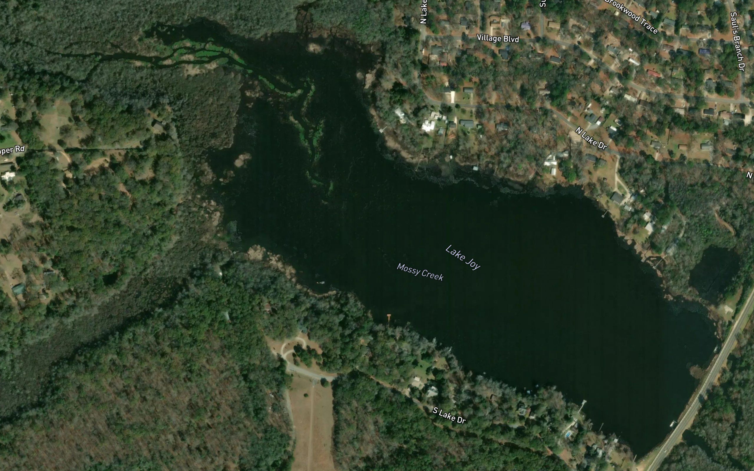 Lake Joy