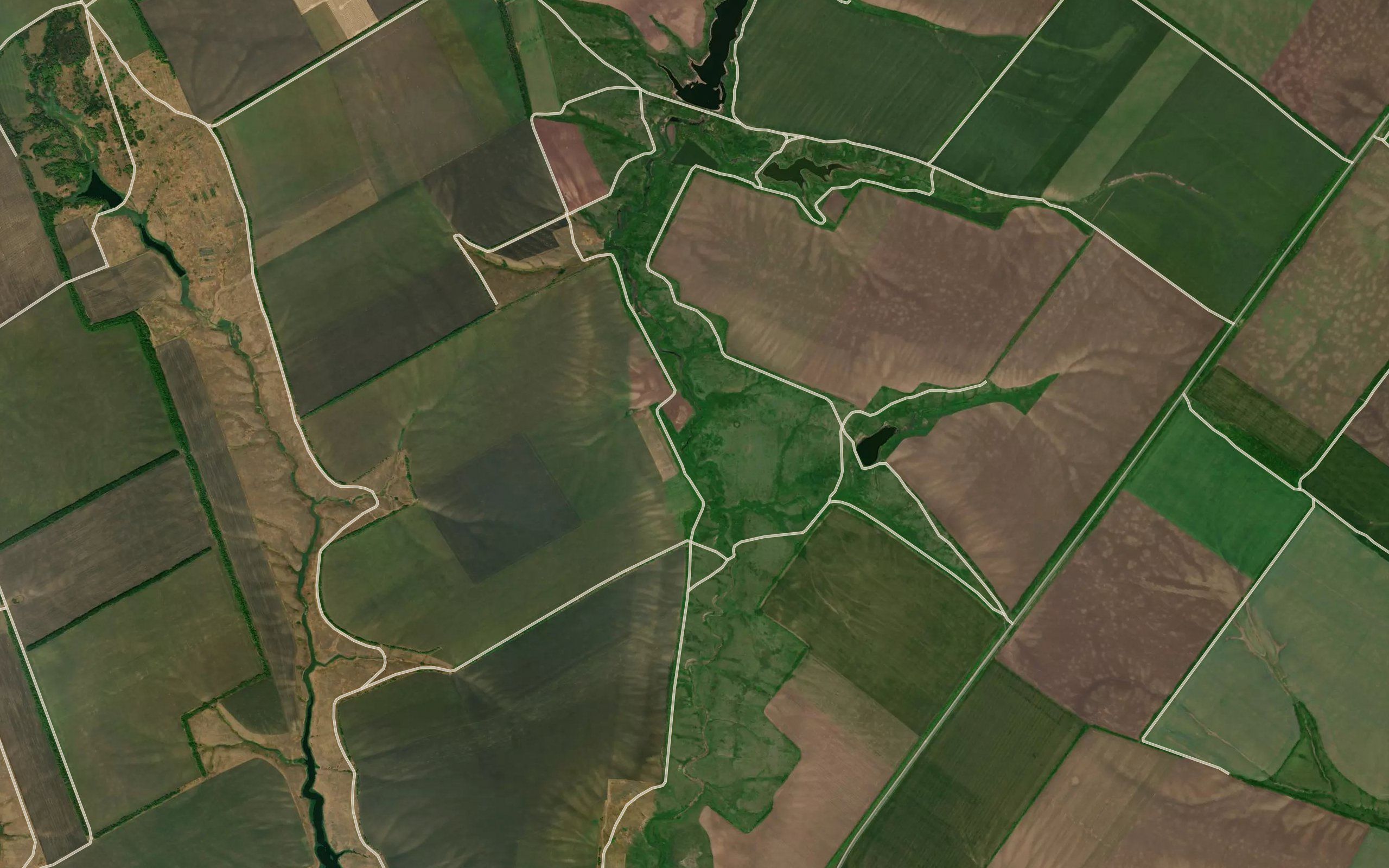 Balka Vasina