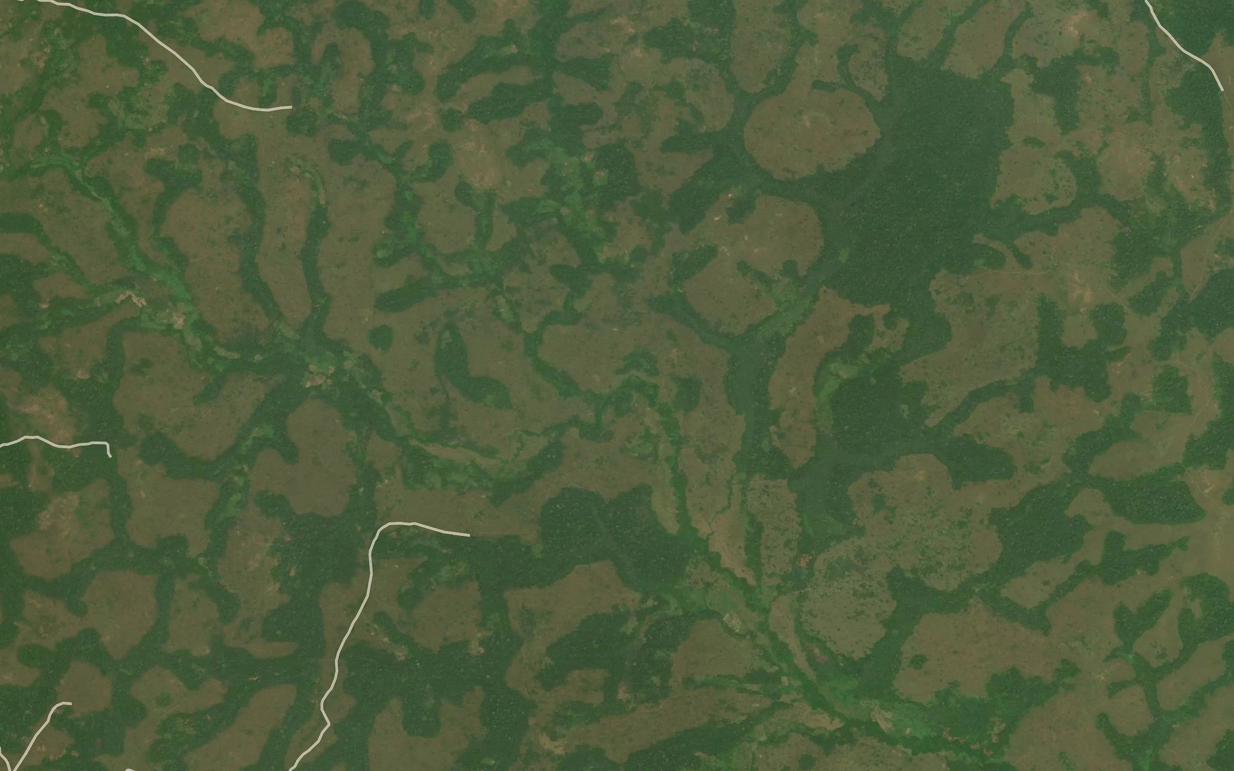 Satellite map of the Timba